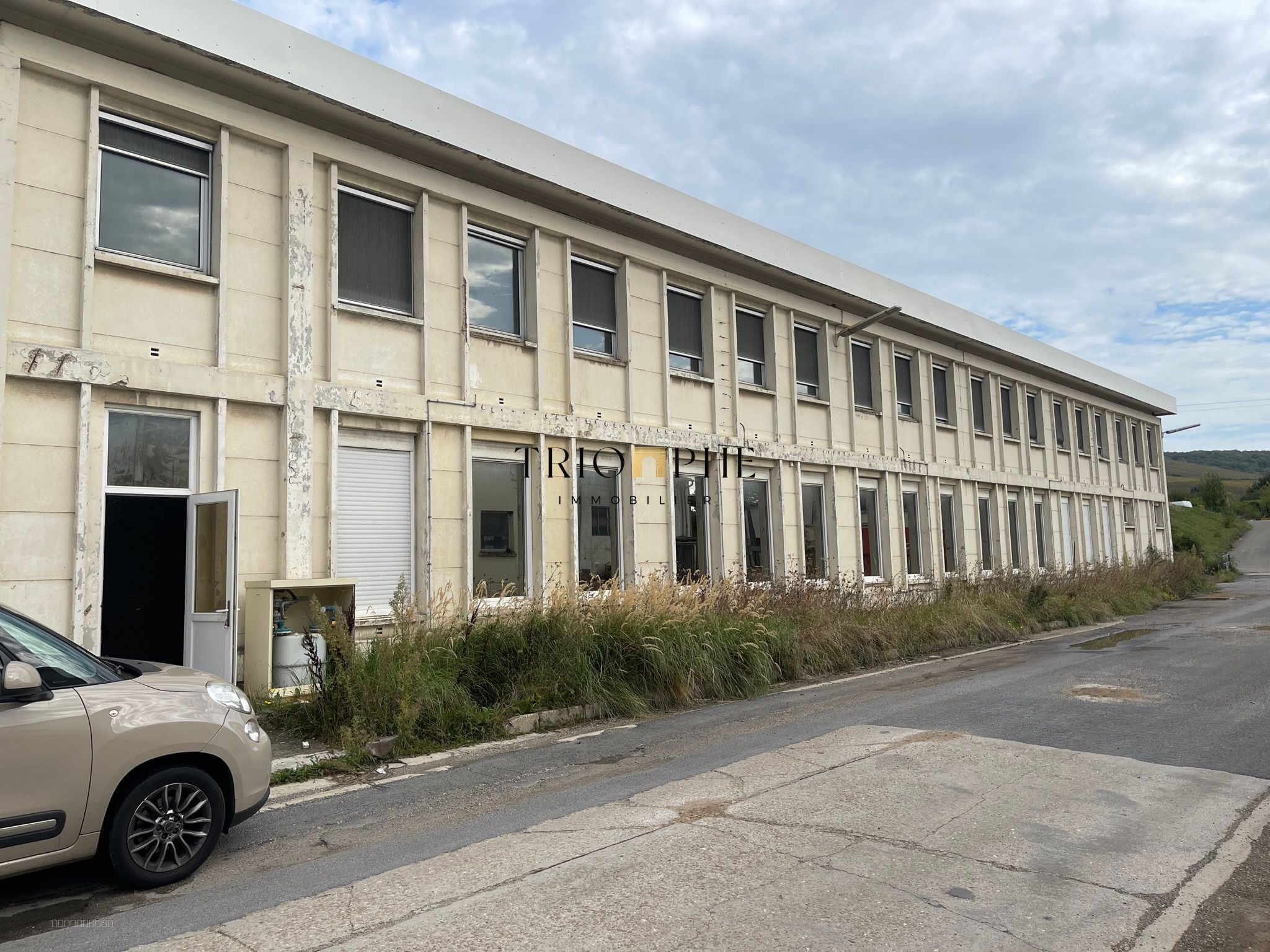 Local industriel 3 760m2 — photo 2
