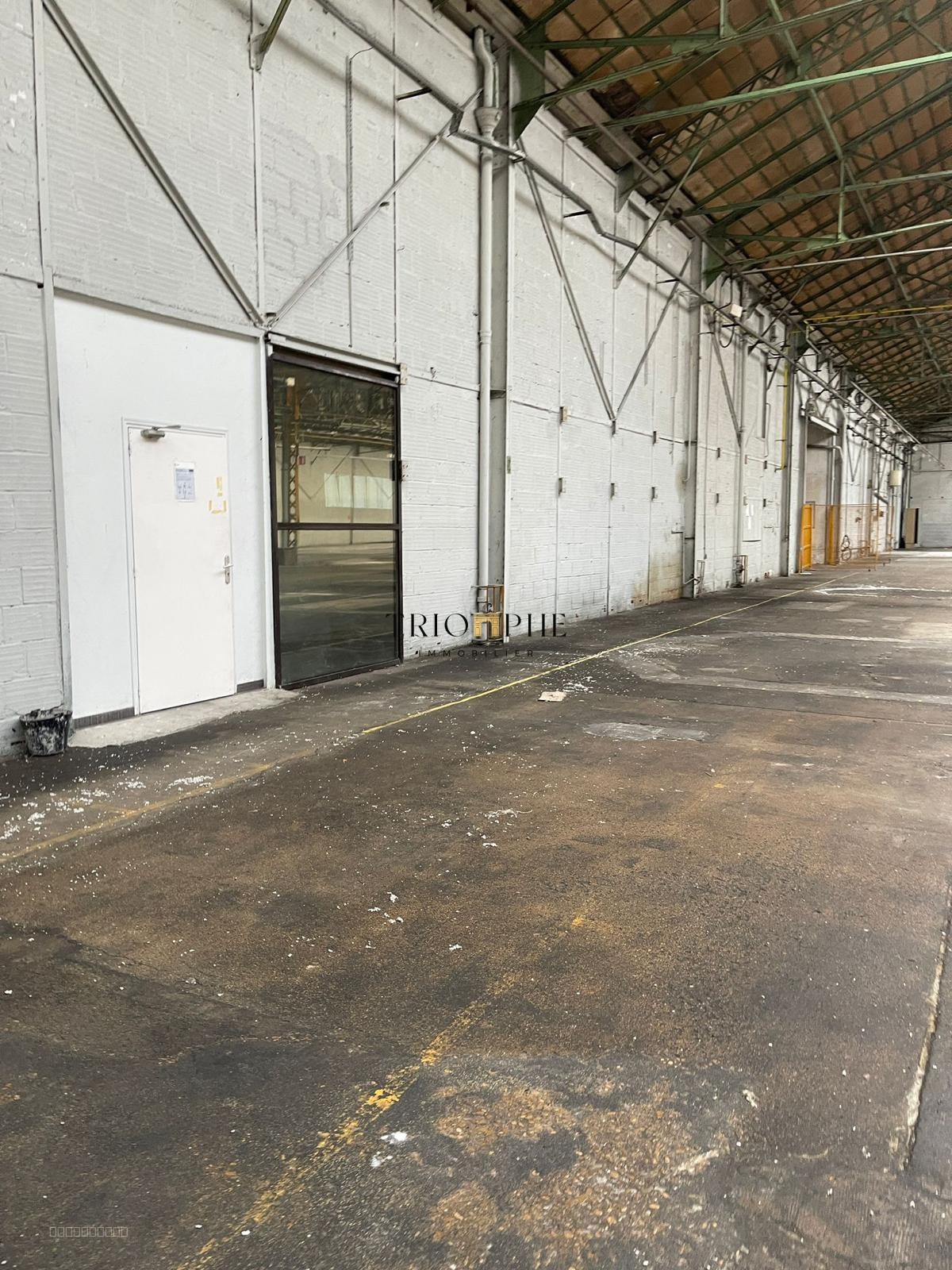 Local industriel 3 760m2 — photo 4