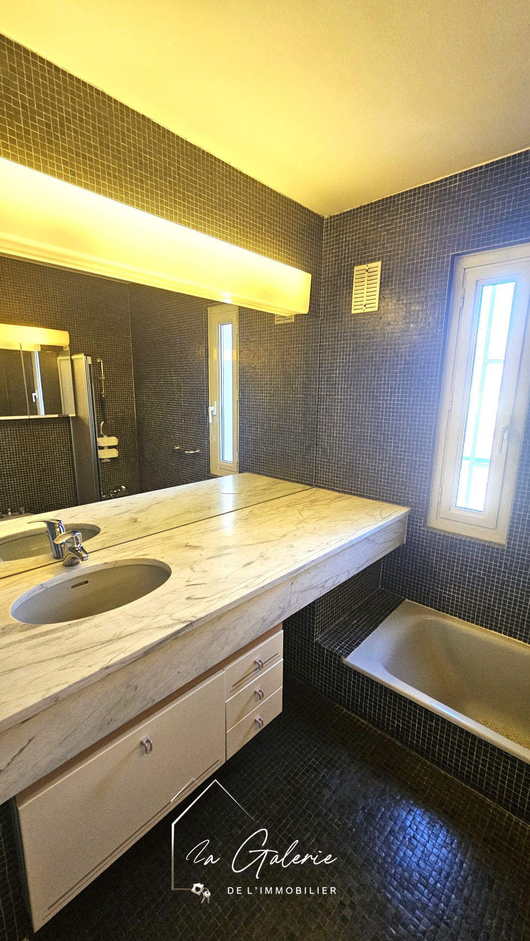 T4 DERNIER ETAGE VUE IMPRENABLE GRENOBLE — photo 14