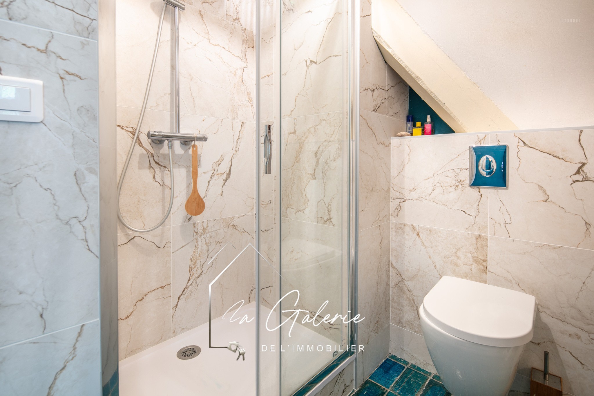 MAISON DE PRESTIGE A LA COTE SAINT ANDRE — photo 9