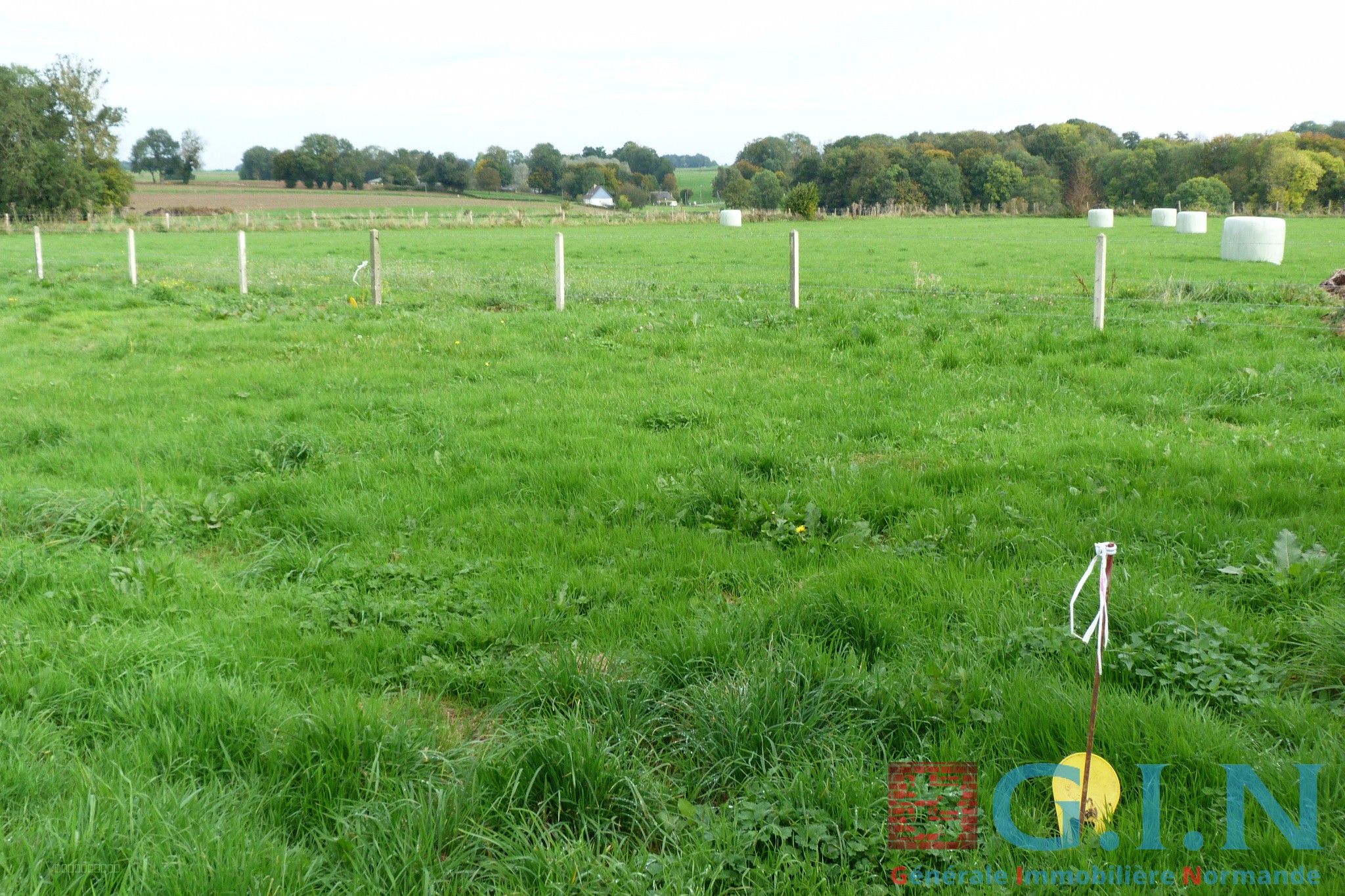 EXCLUSIVITÉ  - 4 KMS DUCLAIR RIVE DROITE — photo 2