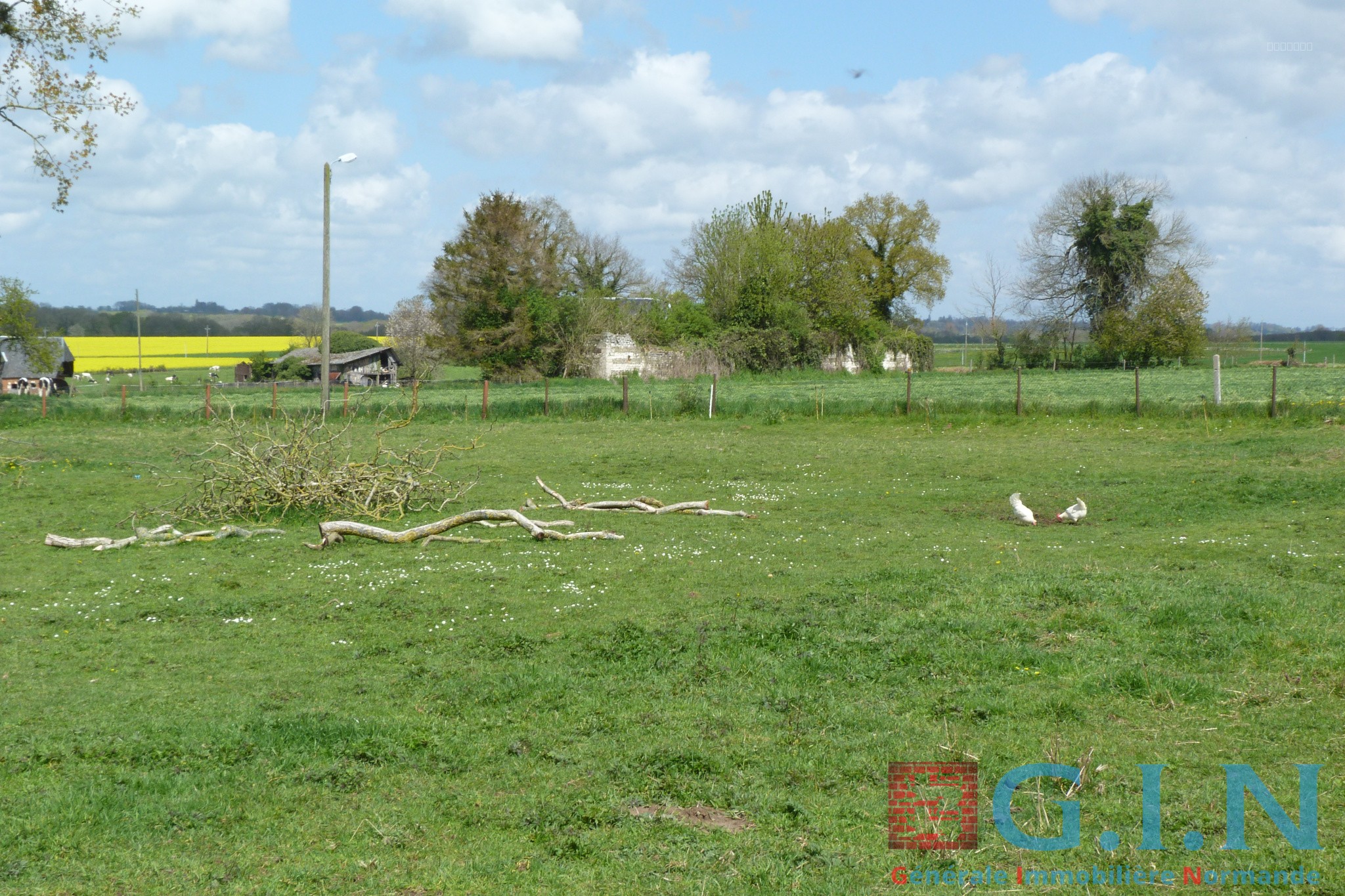 SAINTE-MARGUERITE-SUR-DUCLAIR — photo 3