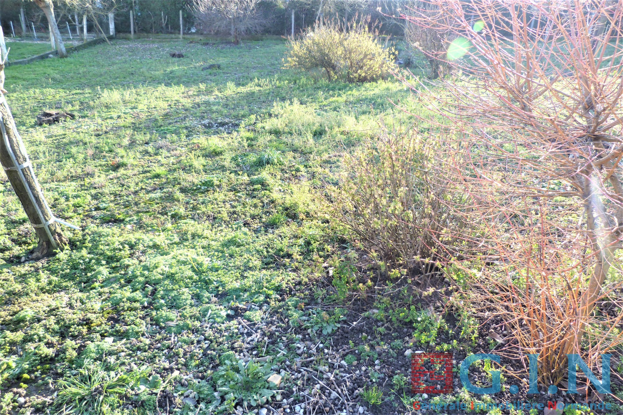 SECTEUR JUMIÈGES — photo 5