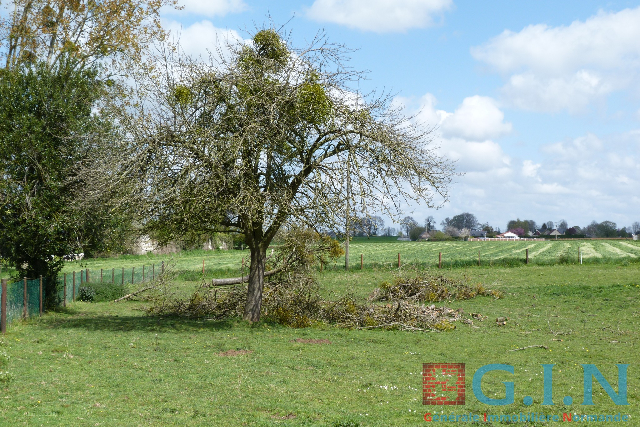5 KMS DUCLAIR RIVE DROITE — photo 2