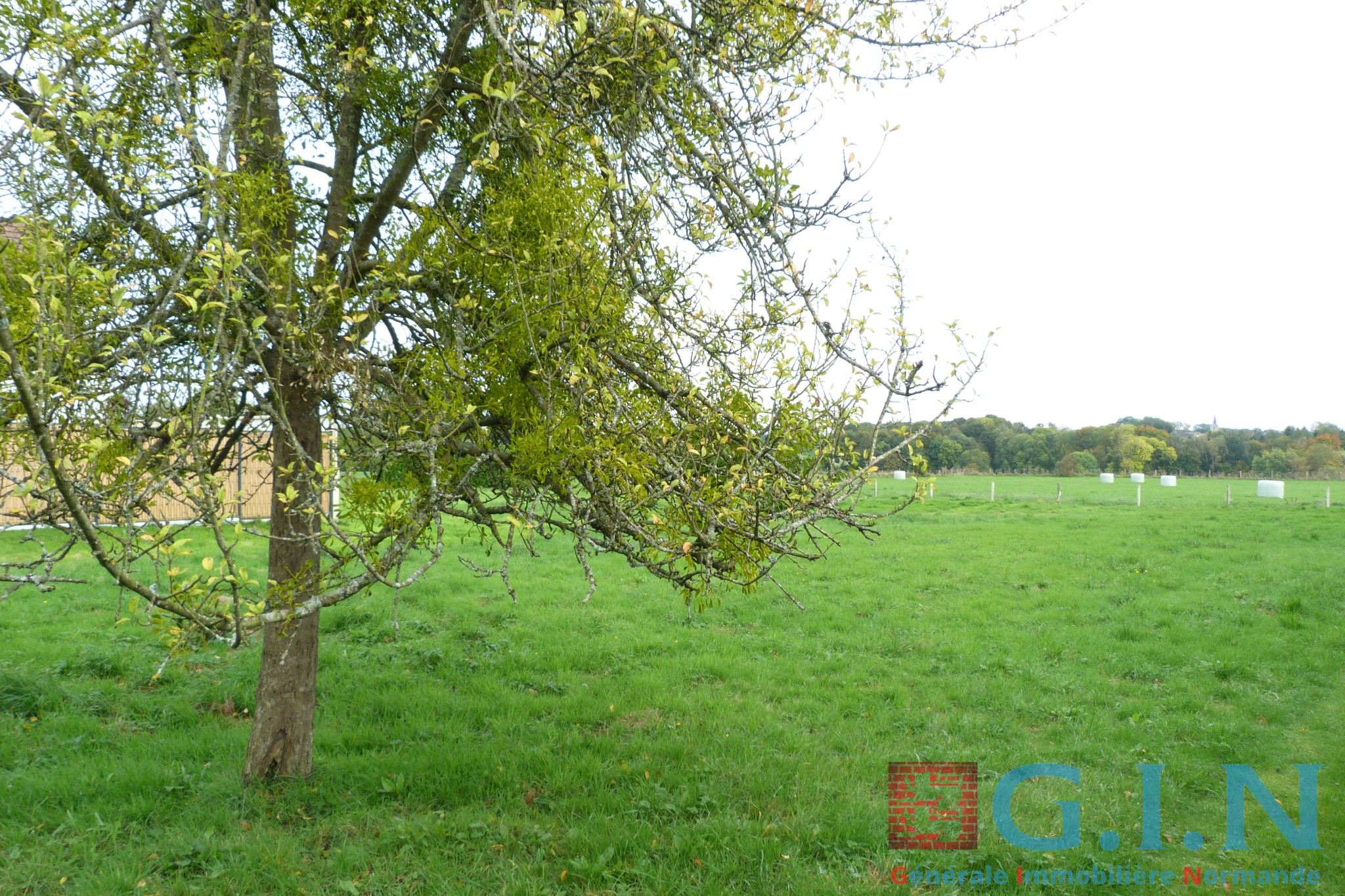 EXCLUSIVITÉ  - 4 KMS DUCLAIR RIVE DROITE — photo 3