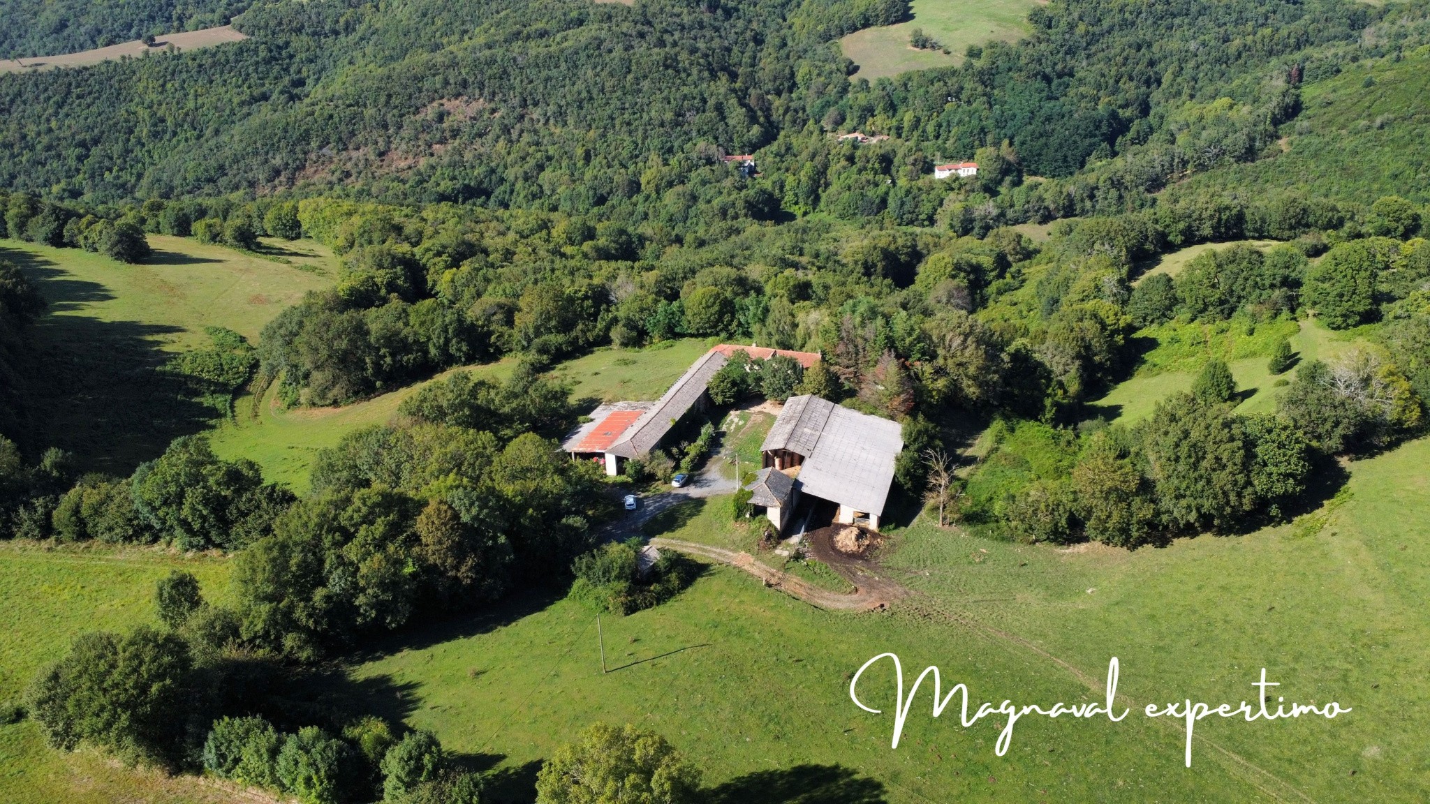 Ferme authentique de 51 hectares au cœur de la nature (Tarn 81) — photo 18