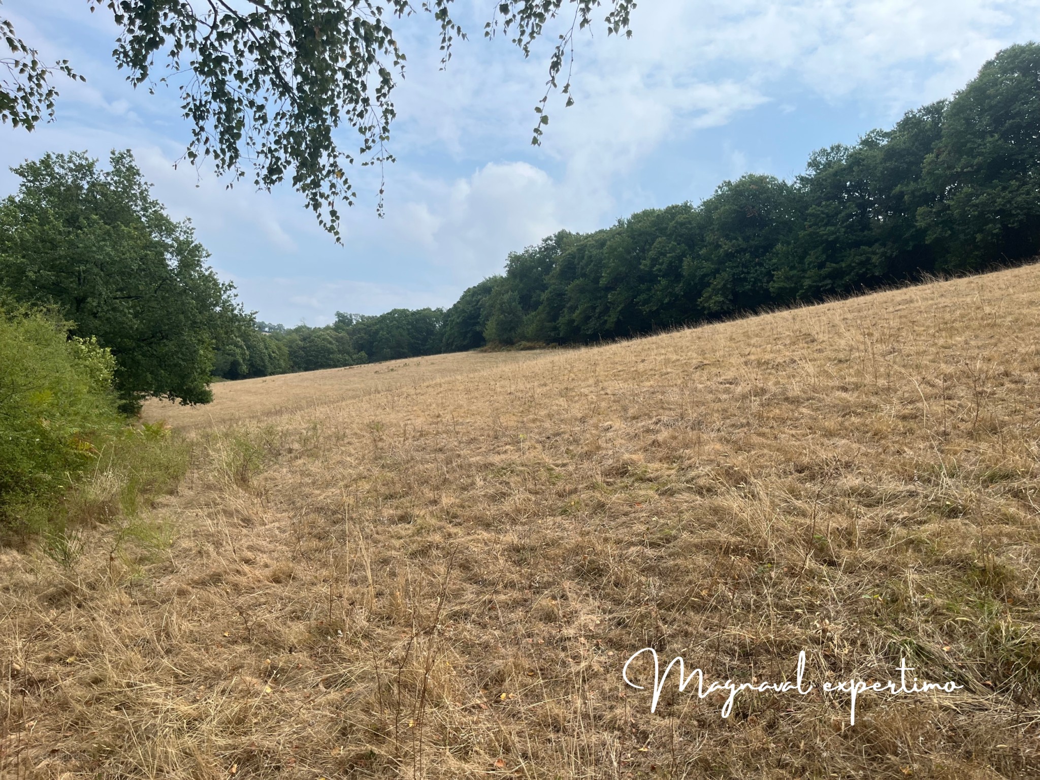 Ferme authentique de 51 hectares au cœur de la nature (Tarn 81) — photo 8