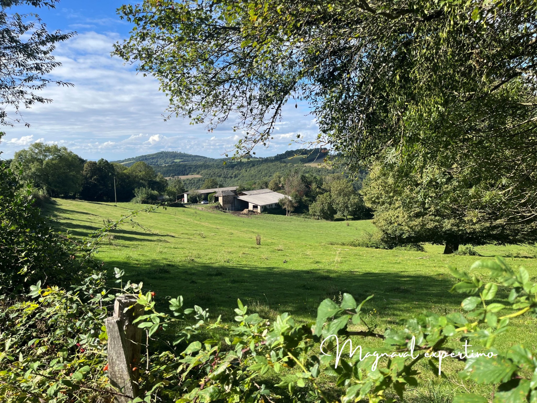 Ferme authentique de 51 hectares au cœur de la nature (Tarn 81) — photo 2