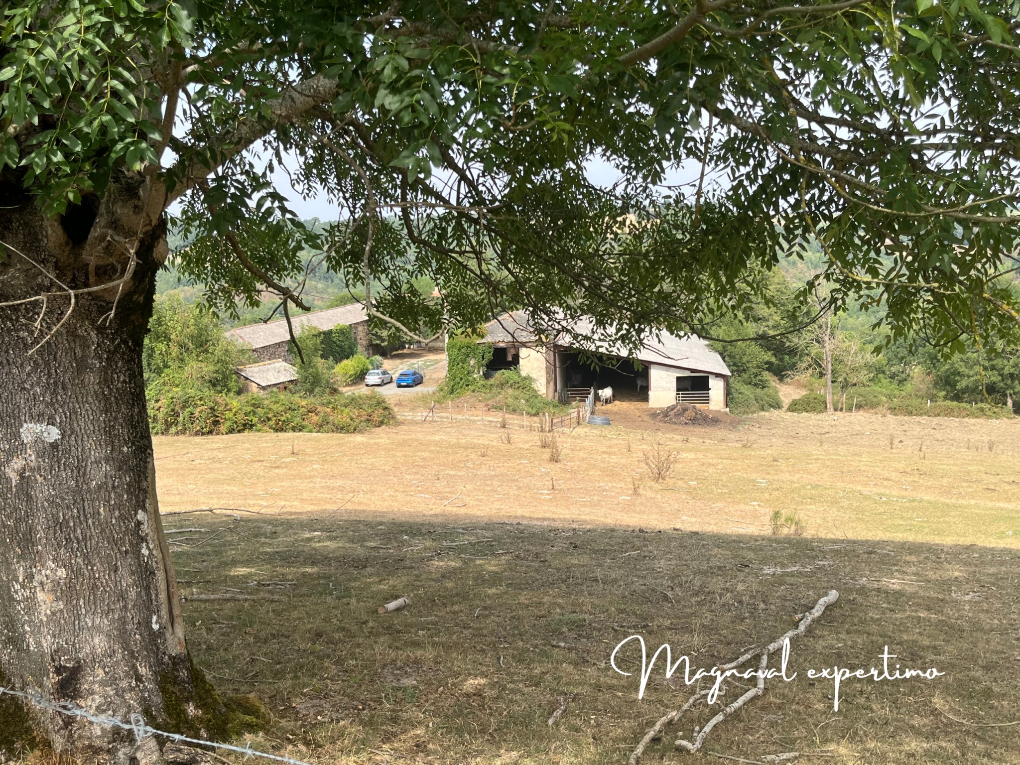 Ferme authentique de 51 hectares au cœur de la nature (Tarn 81) — photo 3