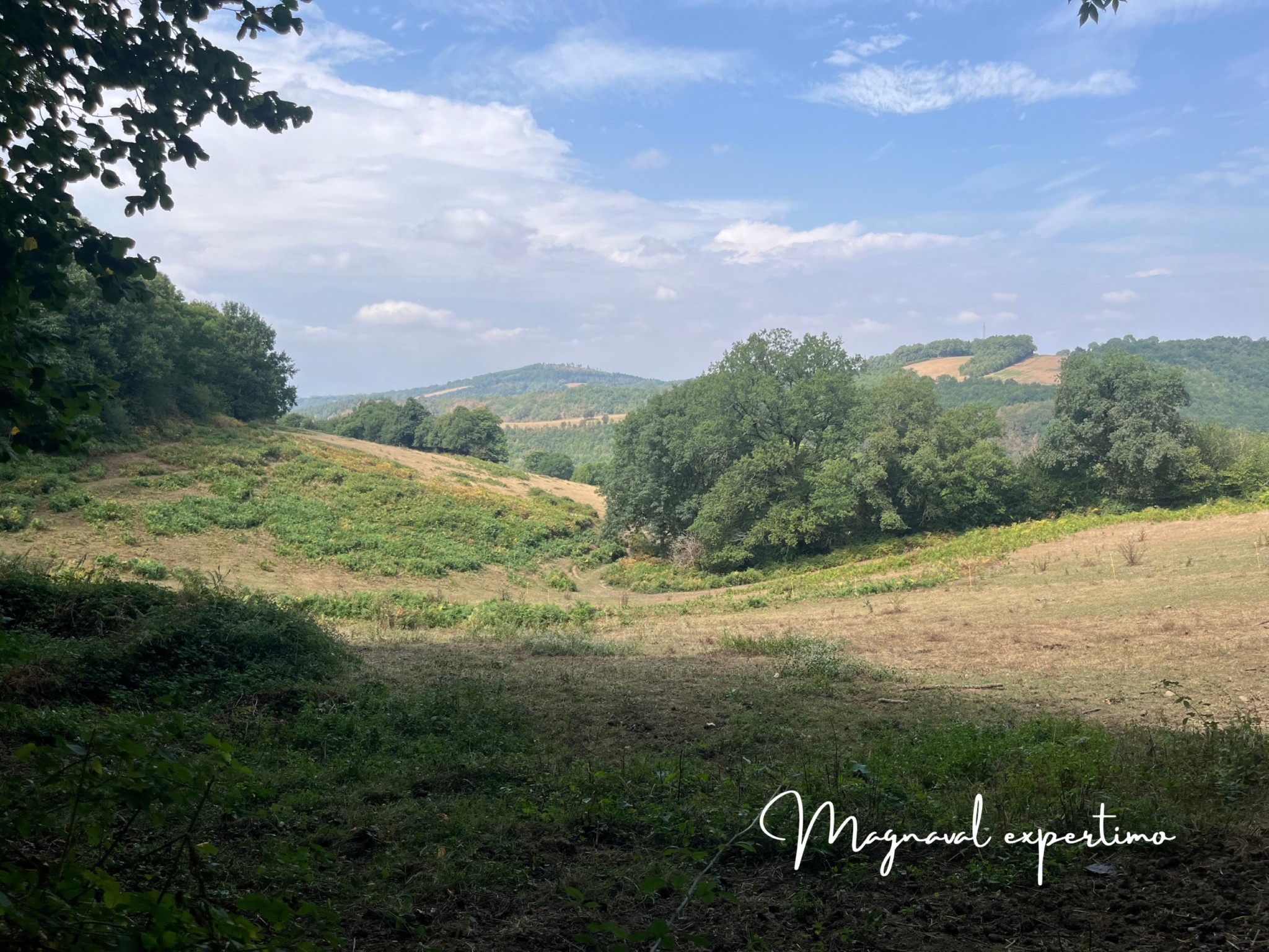 Ferme authentique de 51 hectares au cœur de la nature (Tarn 81) — photo 10