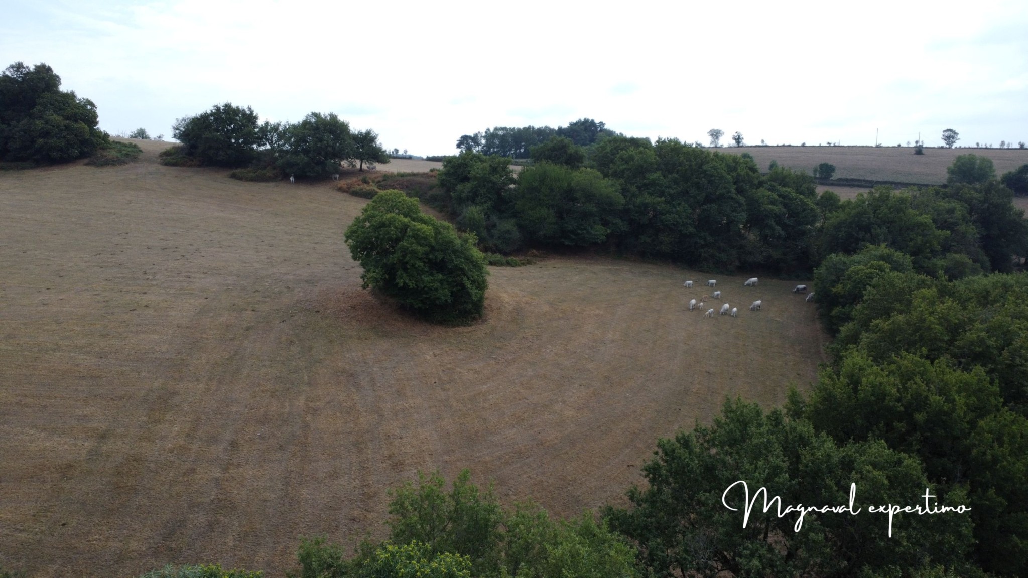 Ferme authentique de 51 hectares au cœur de la nature (Tarn 81) — photo 6