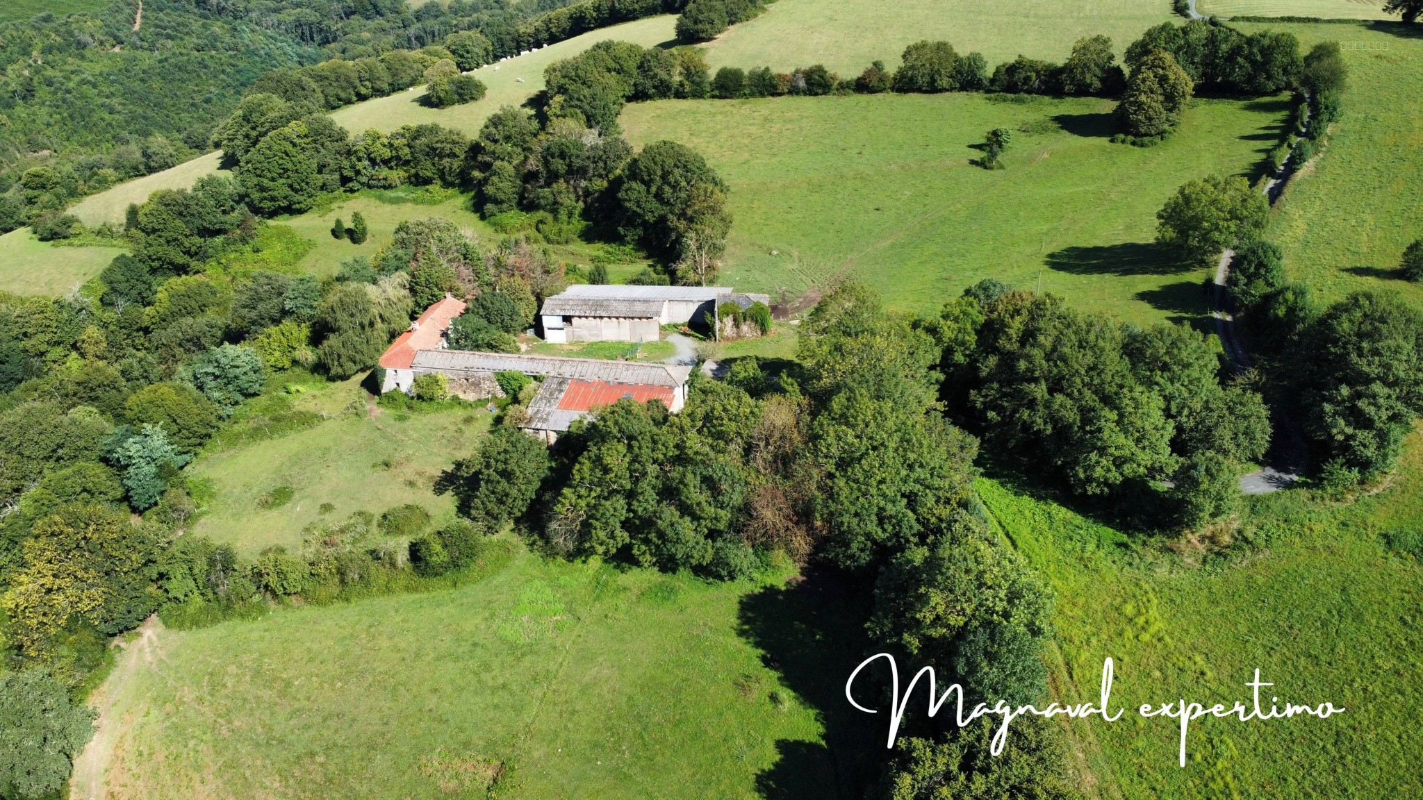 Ferme authentique de 51 hectares au cœur de la nature (Tarn 81) — photo 17