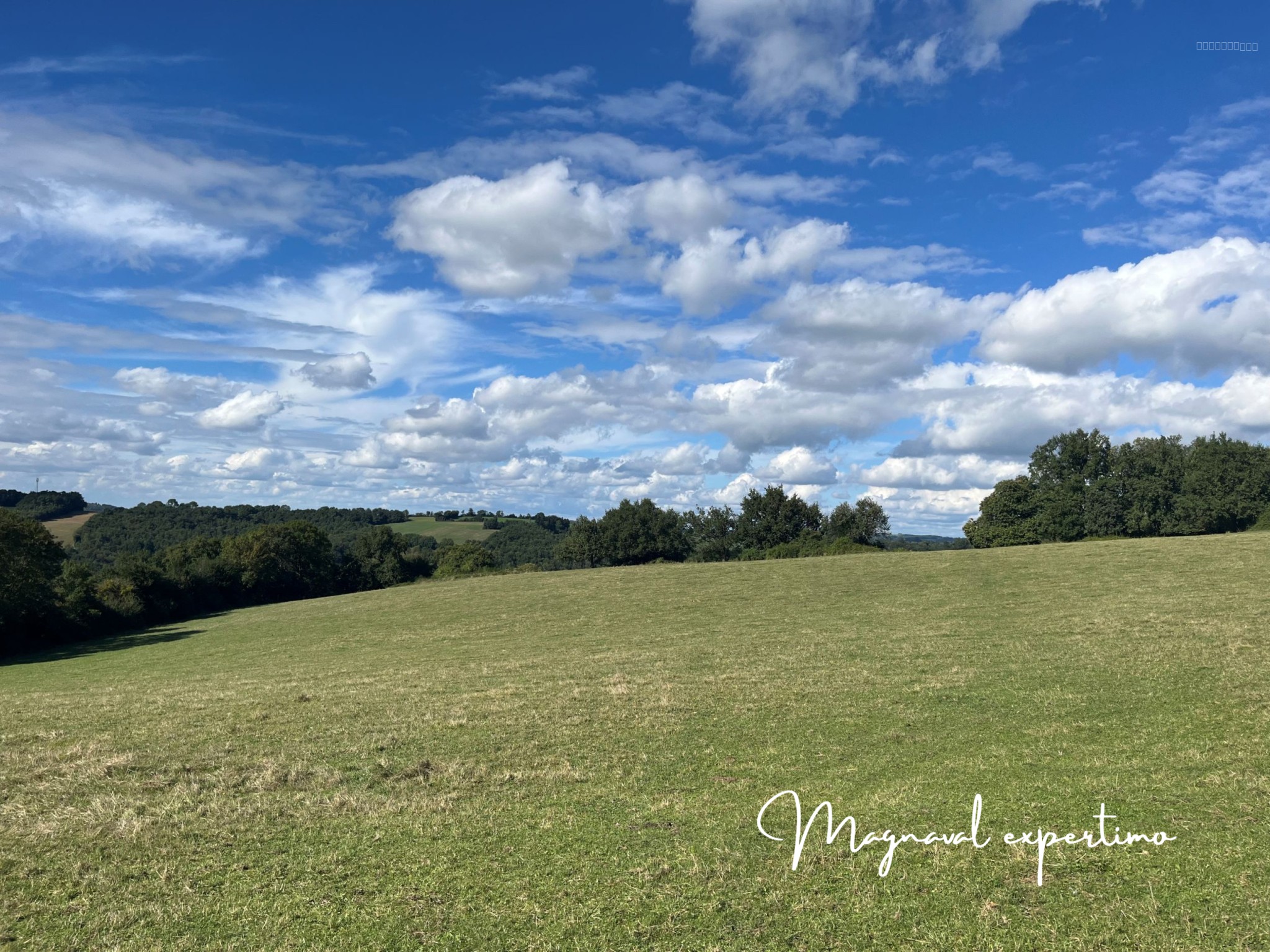 Ferme authentique de 51 hectares au cœur de la nature (Tarn 81) — photo 9