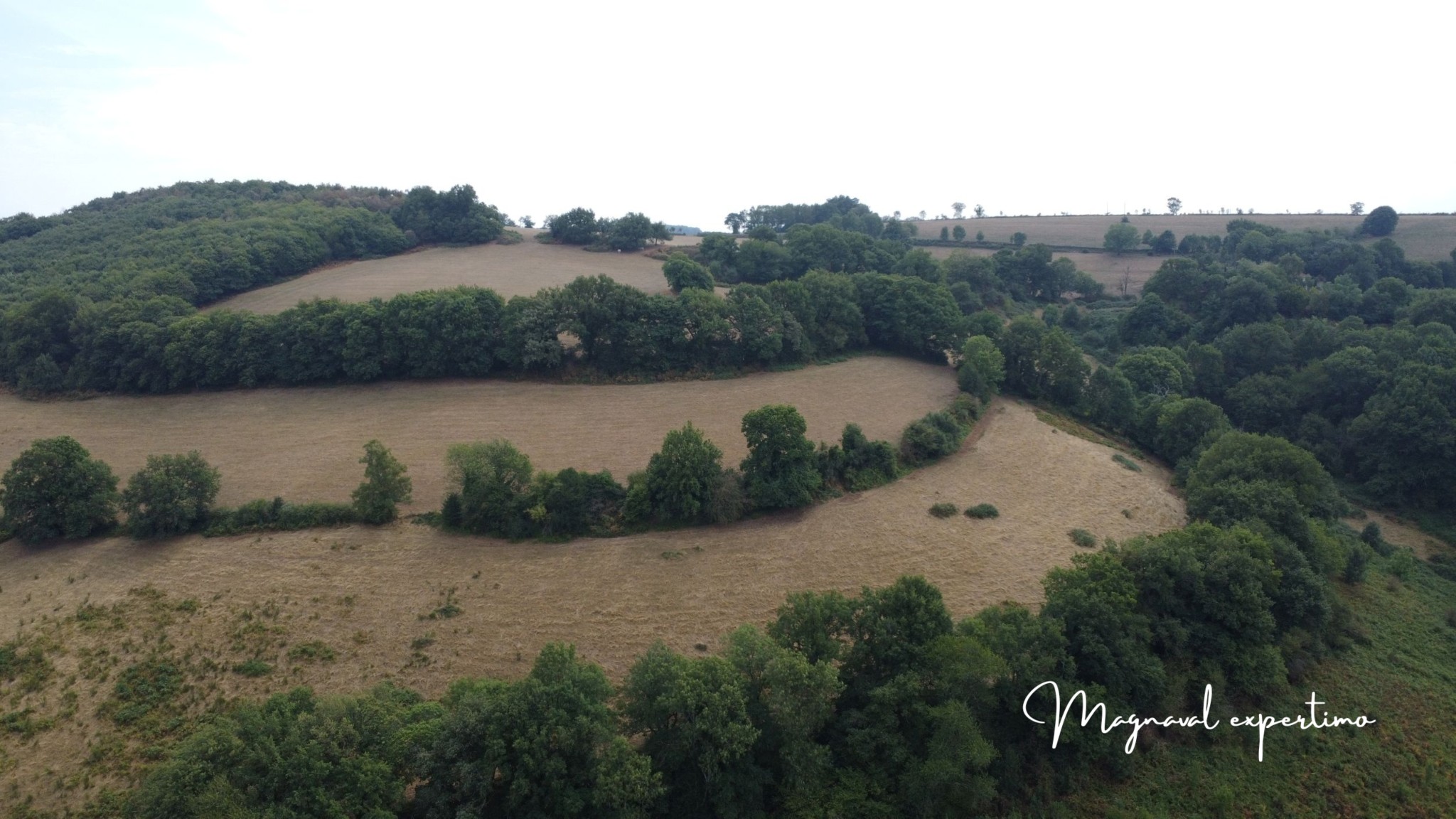 Ferme authentique de 51 hectares au cœur de la nature (Tarn 81) — photo 5