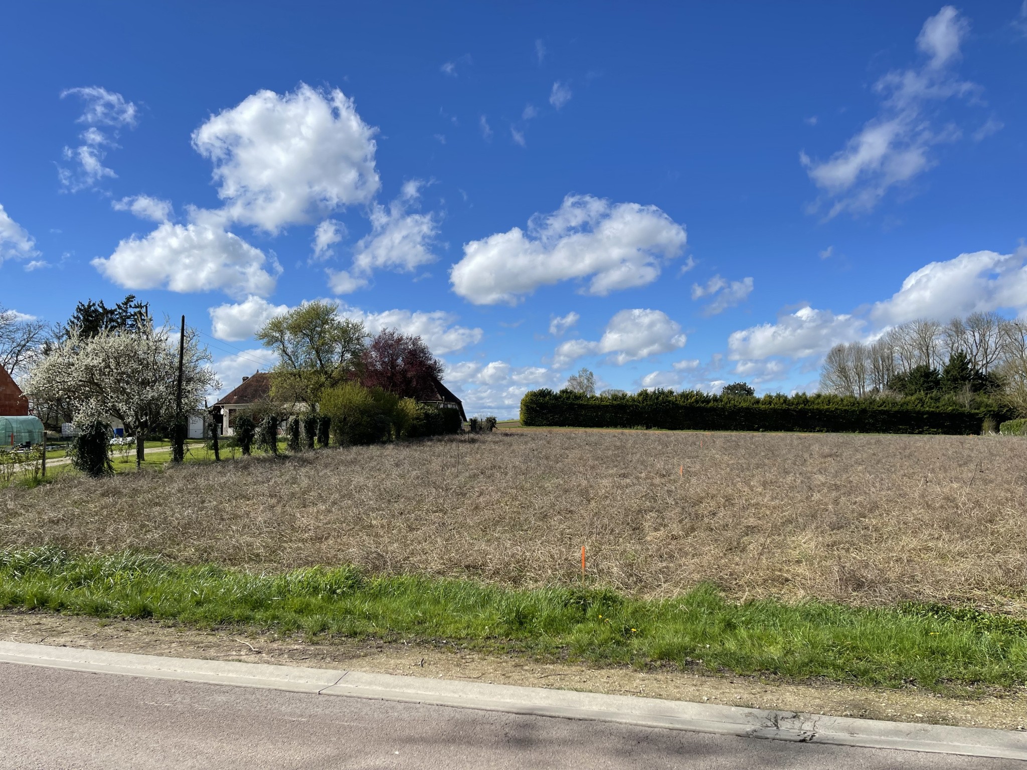 VILLEMEREUIL - Terrain 1800m2 — photo 4