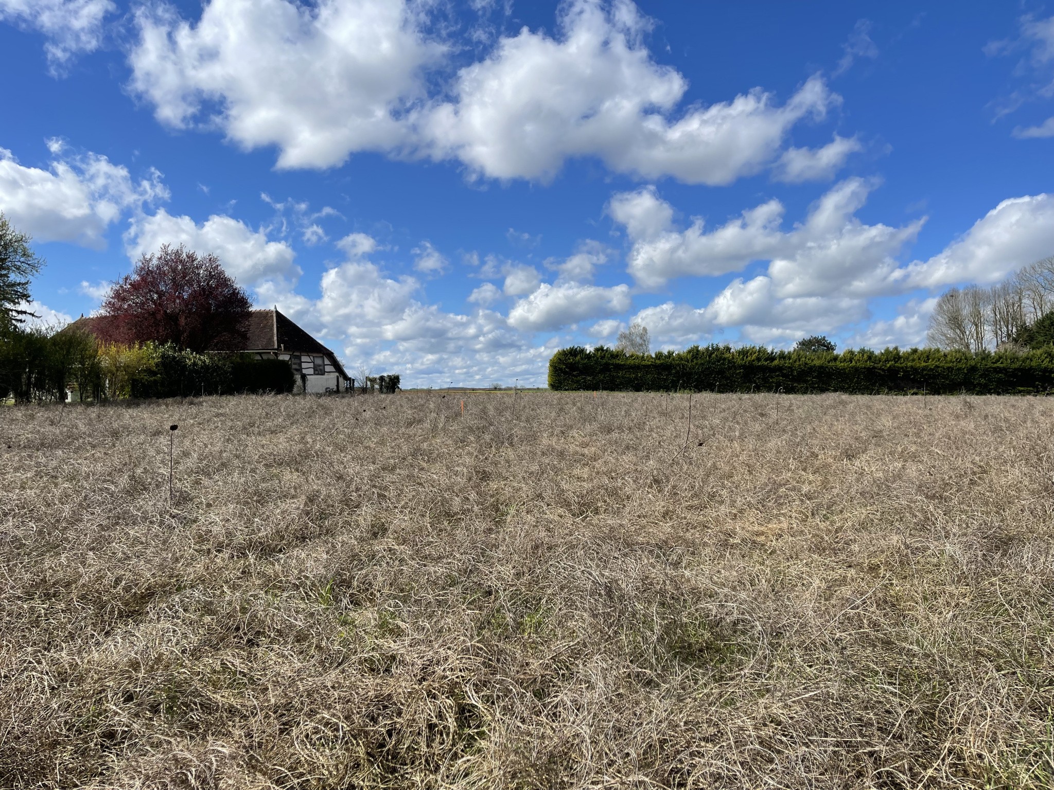 VILLEMEREUIL - Terrain à bâtir  1800m2 — photo 4