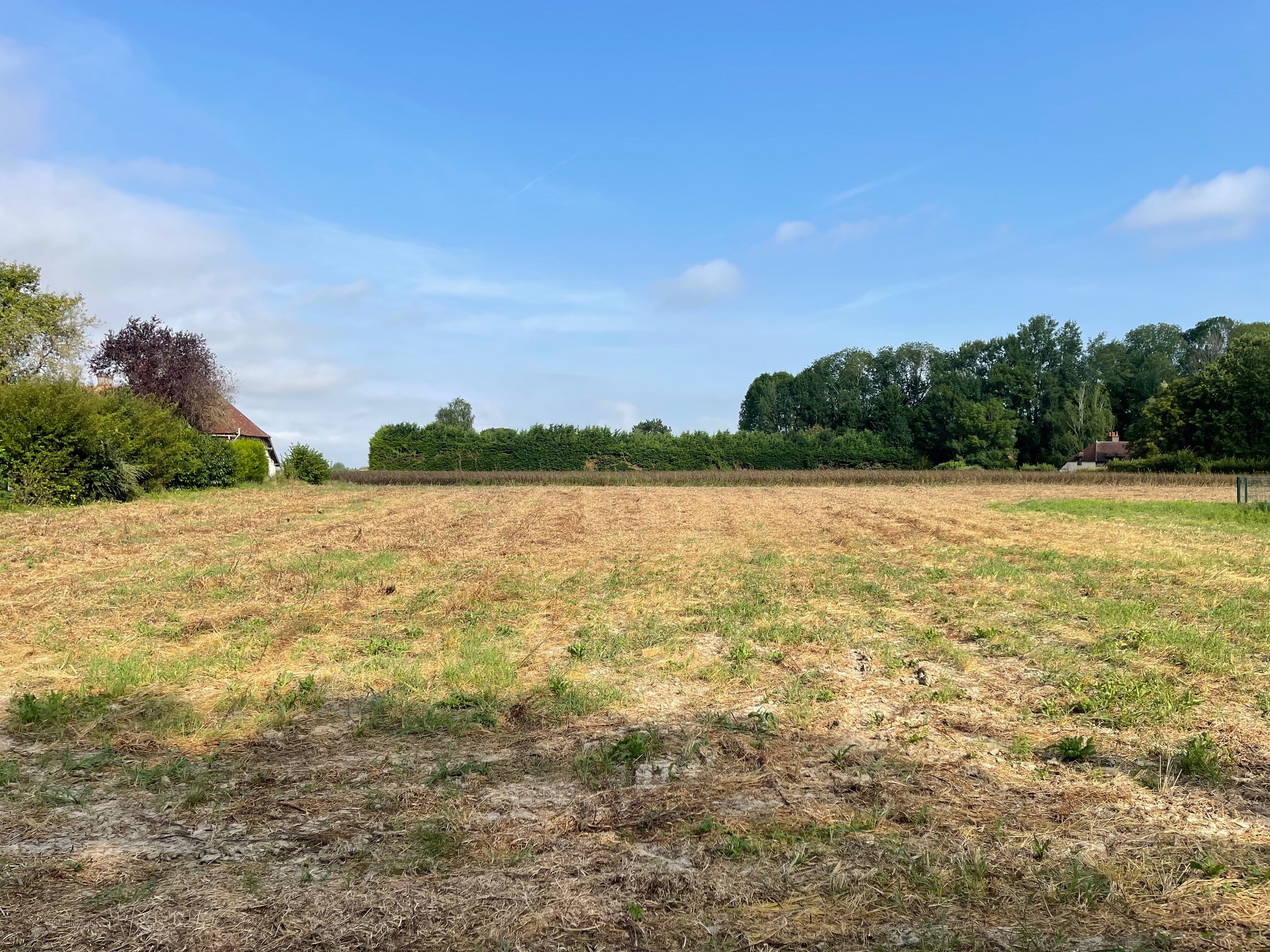 VILLEMEREUIL - Terrain à bâtir  1800m2 — photo 2