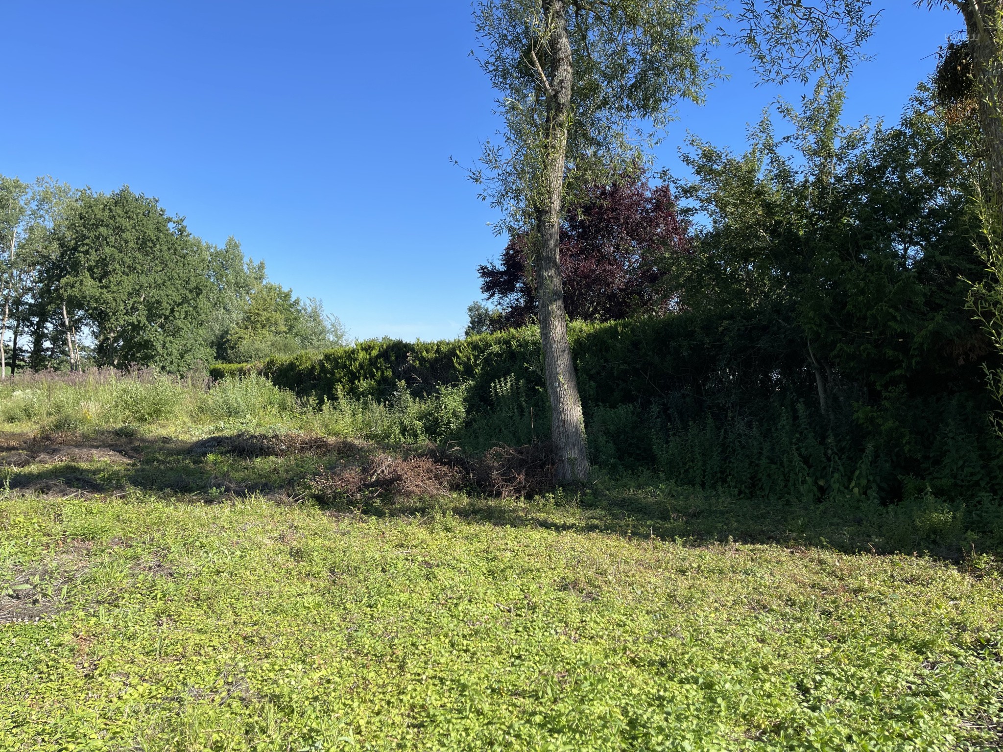 LA VENDUE MIGNOT - Terrain à bâtir 2994 m2 — photo 3