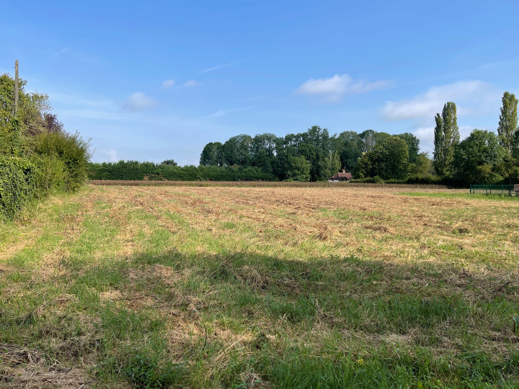 VILLEMEREUIL - Terrain 1800m2 — photo 3