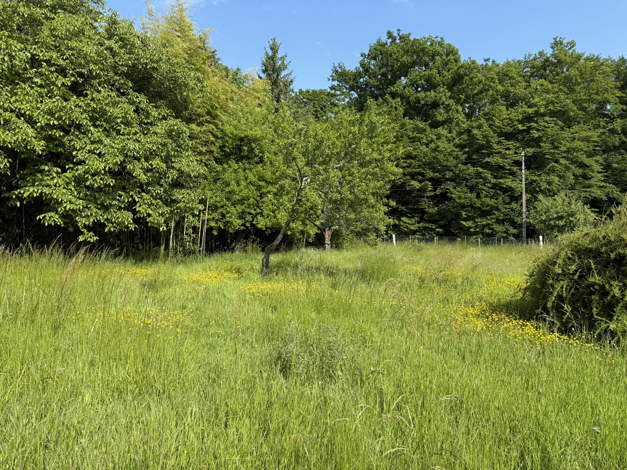 LA-VENDUE-MIGNOT - Maison 87m2 — photo 10