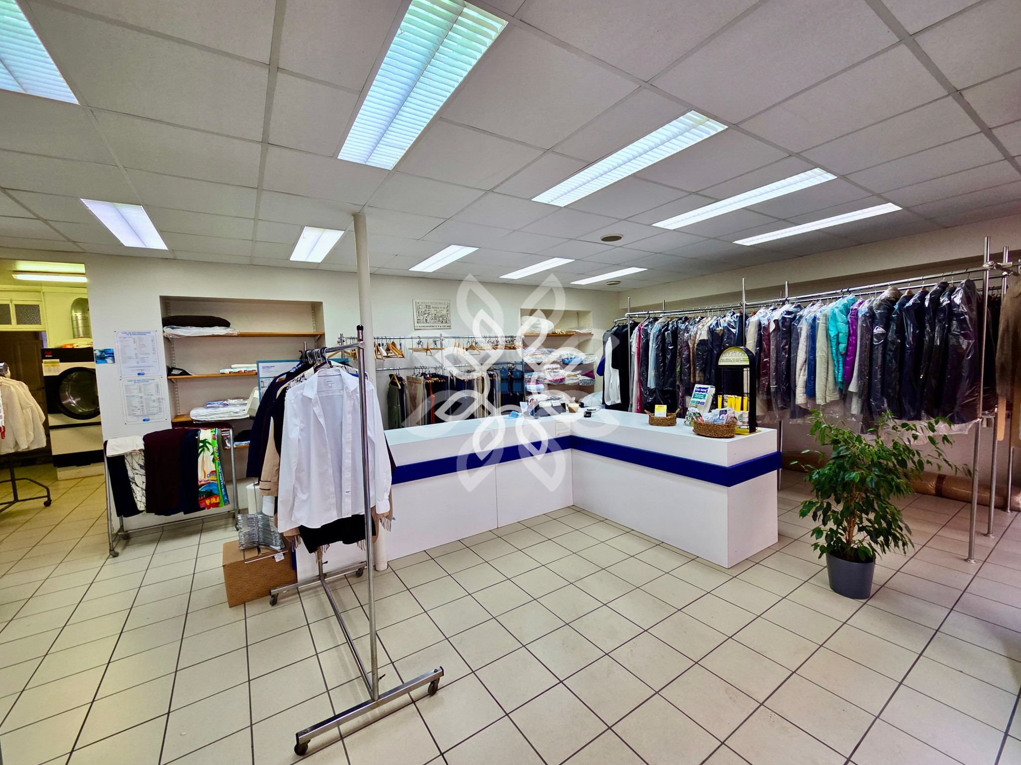 FONDS DE COMMERCE PRESSING / BLANCHISSERIE — photo 4