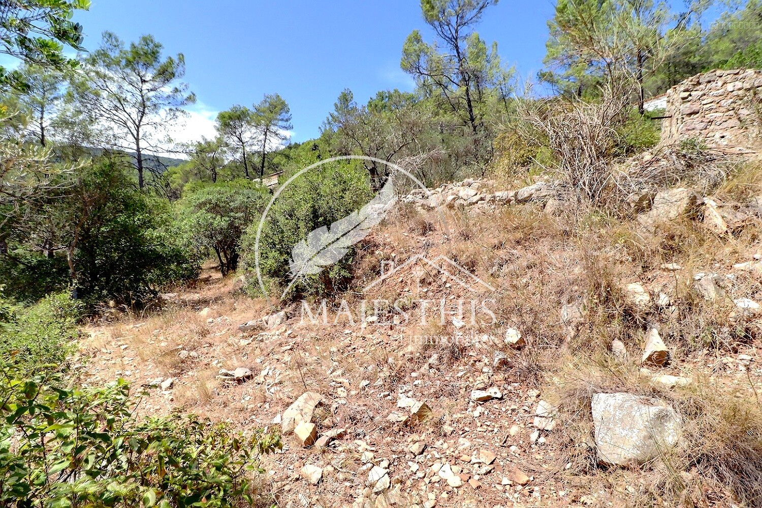 TERRAIN CONSTRUCTIBLE - BELGENTIER - CALME ET LUMINEUX — photo 3