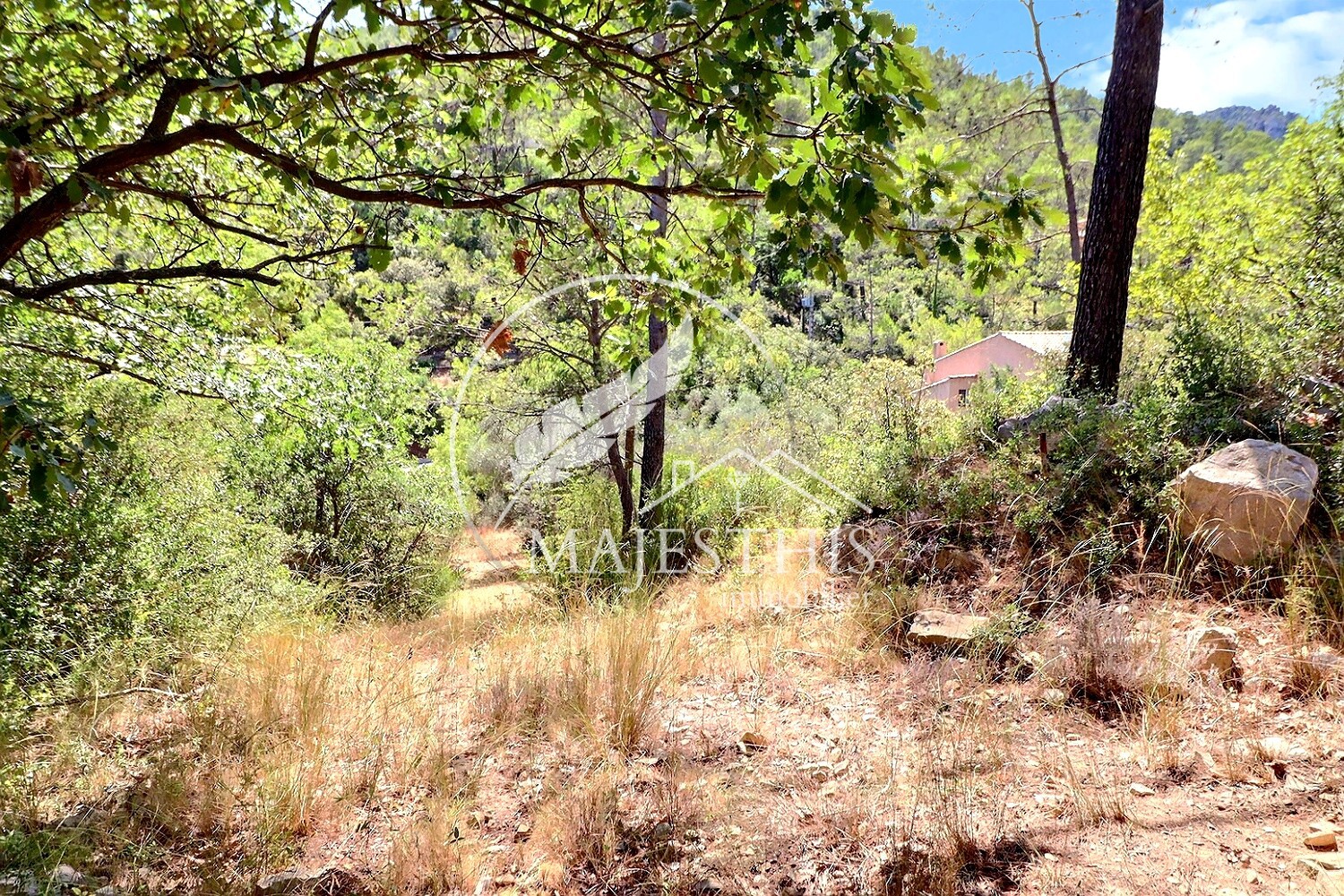 TERRAIN CONSTRUCTIBLE - BELGENTIER - CALME ET LUMINEUX — photo 2