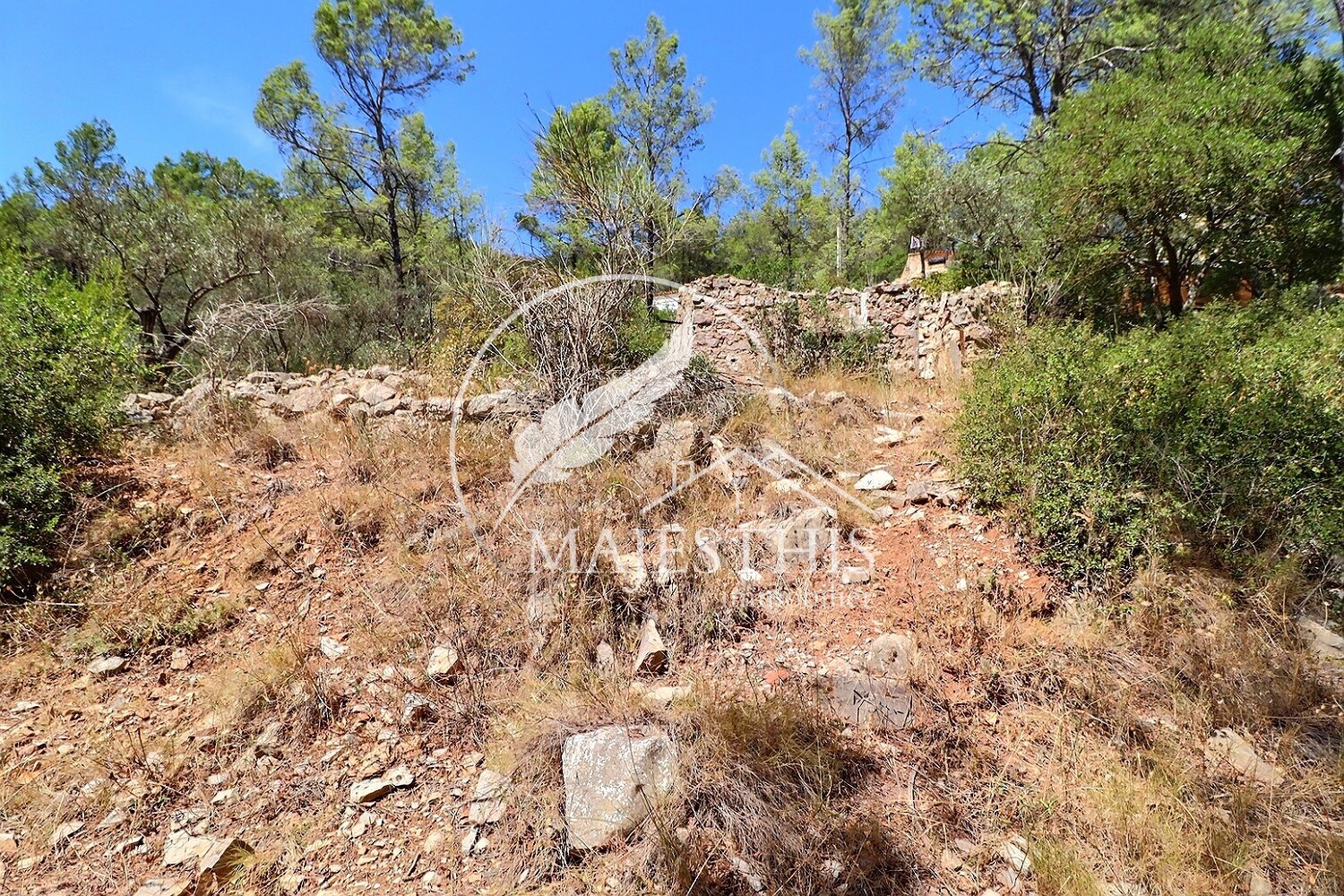 TERRAIN CONSTRUCTIBLE - BELGENTIER - CALME ET LUMINEUX — photo 5