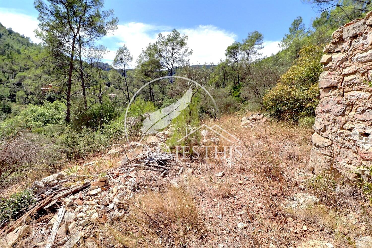 TERRAIN CONSTRUCTIBLE - BELGENTIER - CALME ET LUMINEUX — photo 4