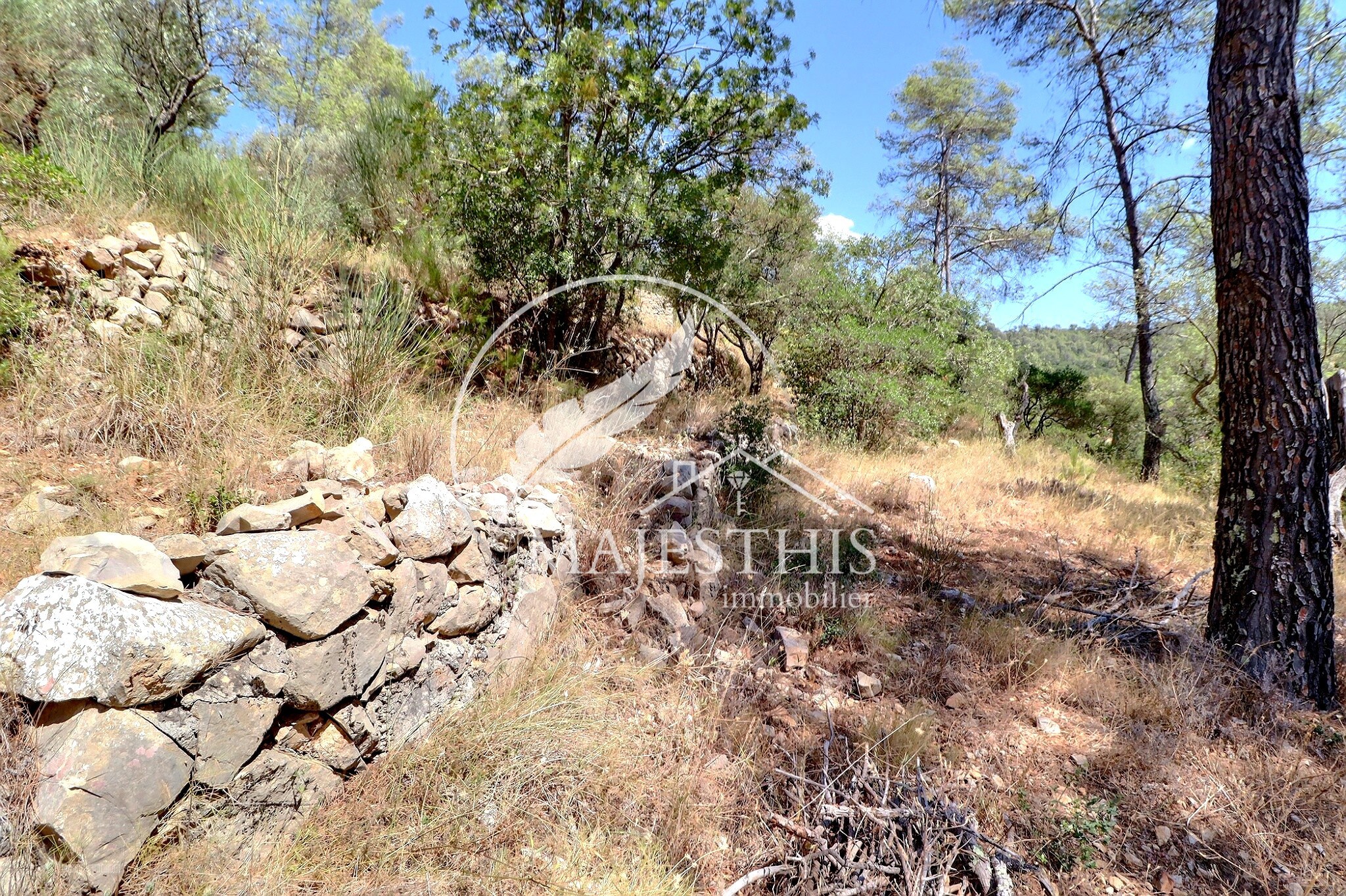 TERRAIN CONSTRUCTIBLE - BELGENTIER - CALME ET LUMINEUX — photo 6