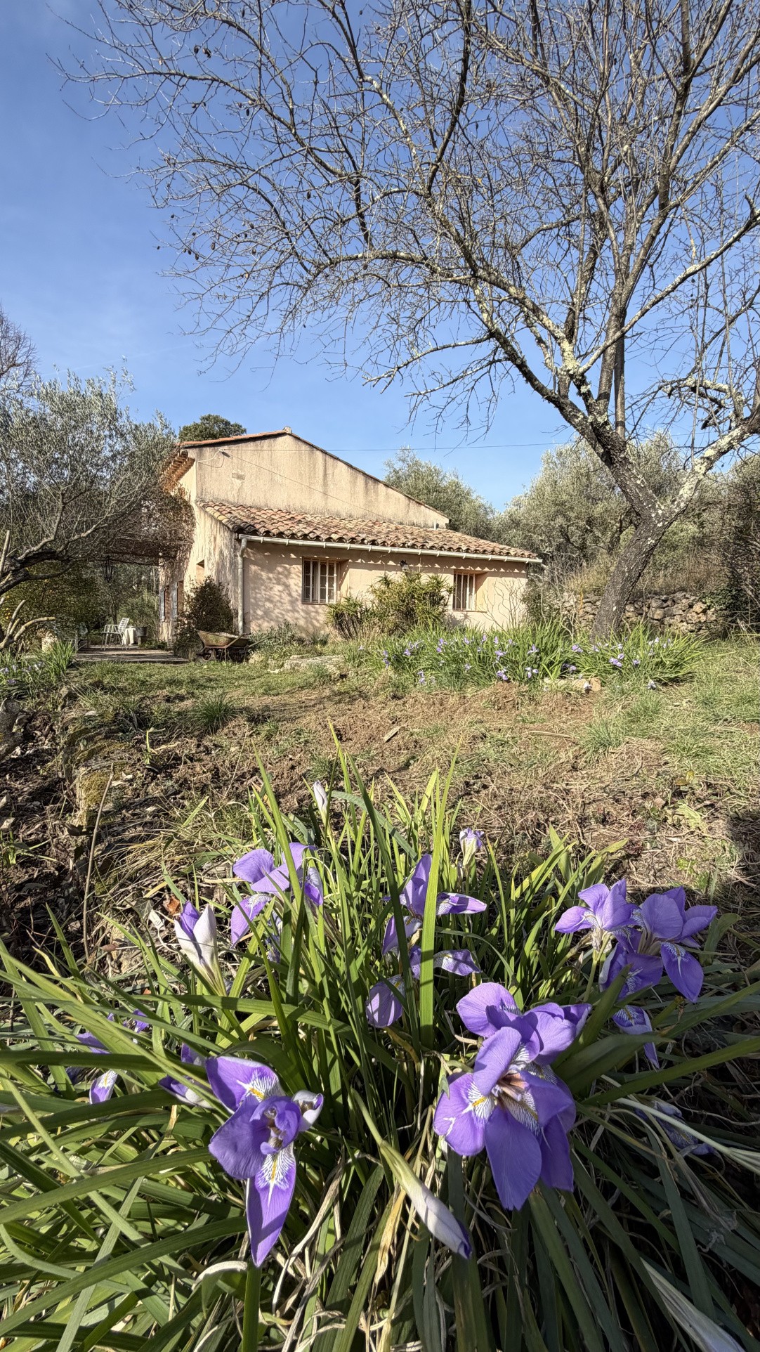 Mas de caractère T4 avec grand terrain constructible   Cotignac — photo 2