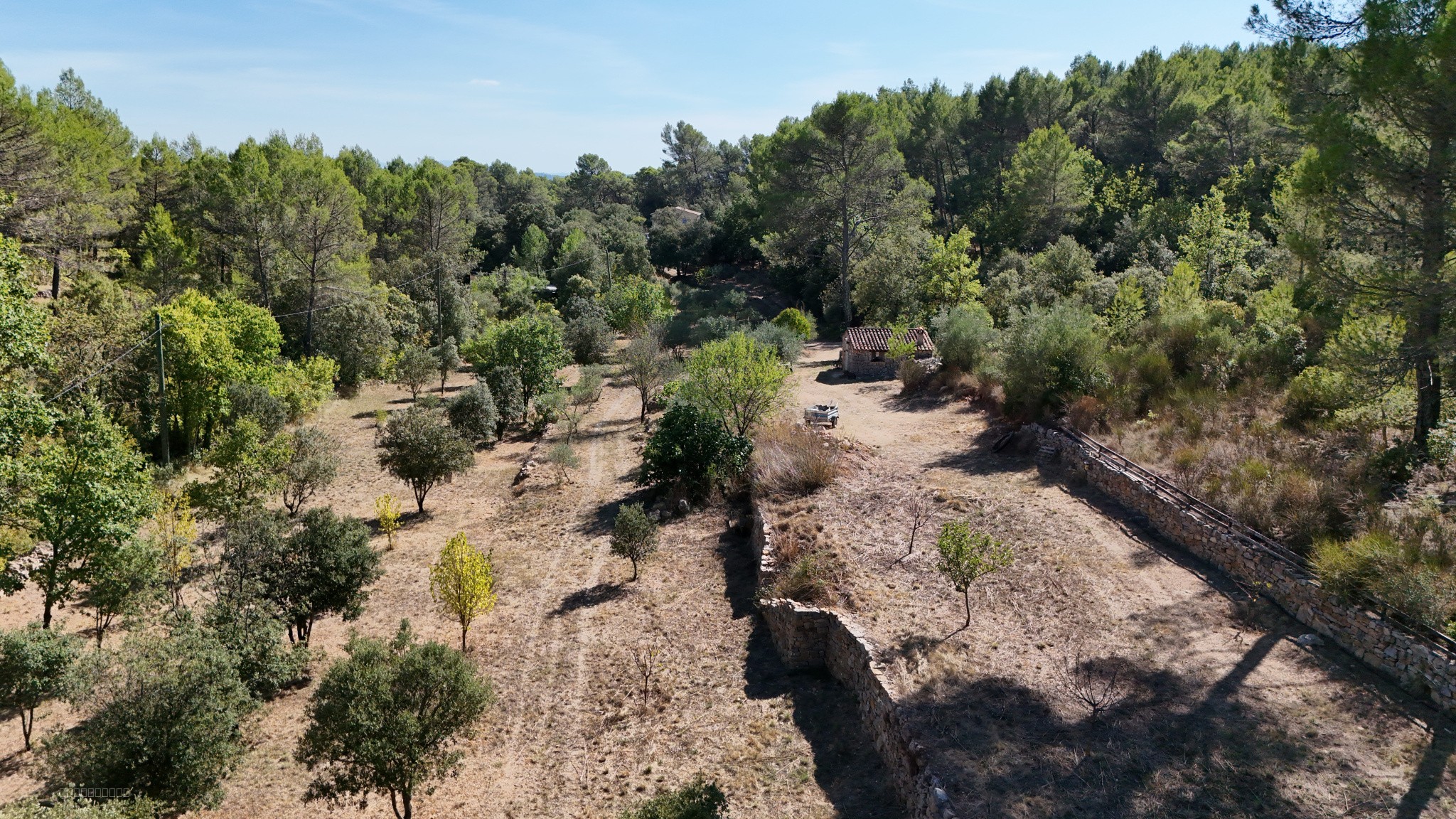 Mas provençal à Cotignac — photo 4