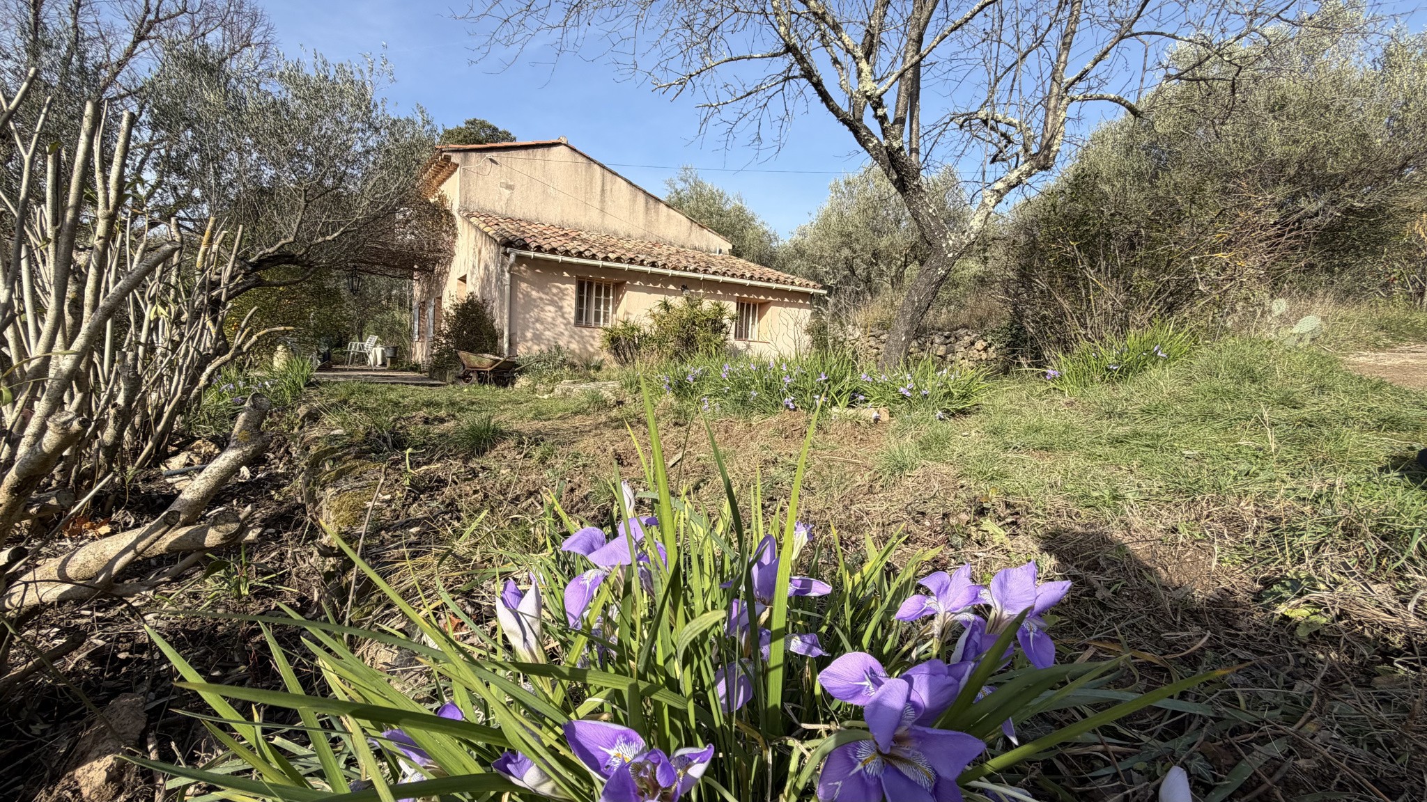 Mas de caractère T4 avec grand terrain constructible   Cotignac — photo 6
