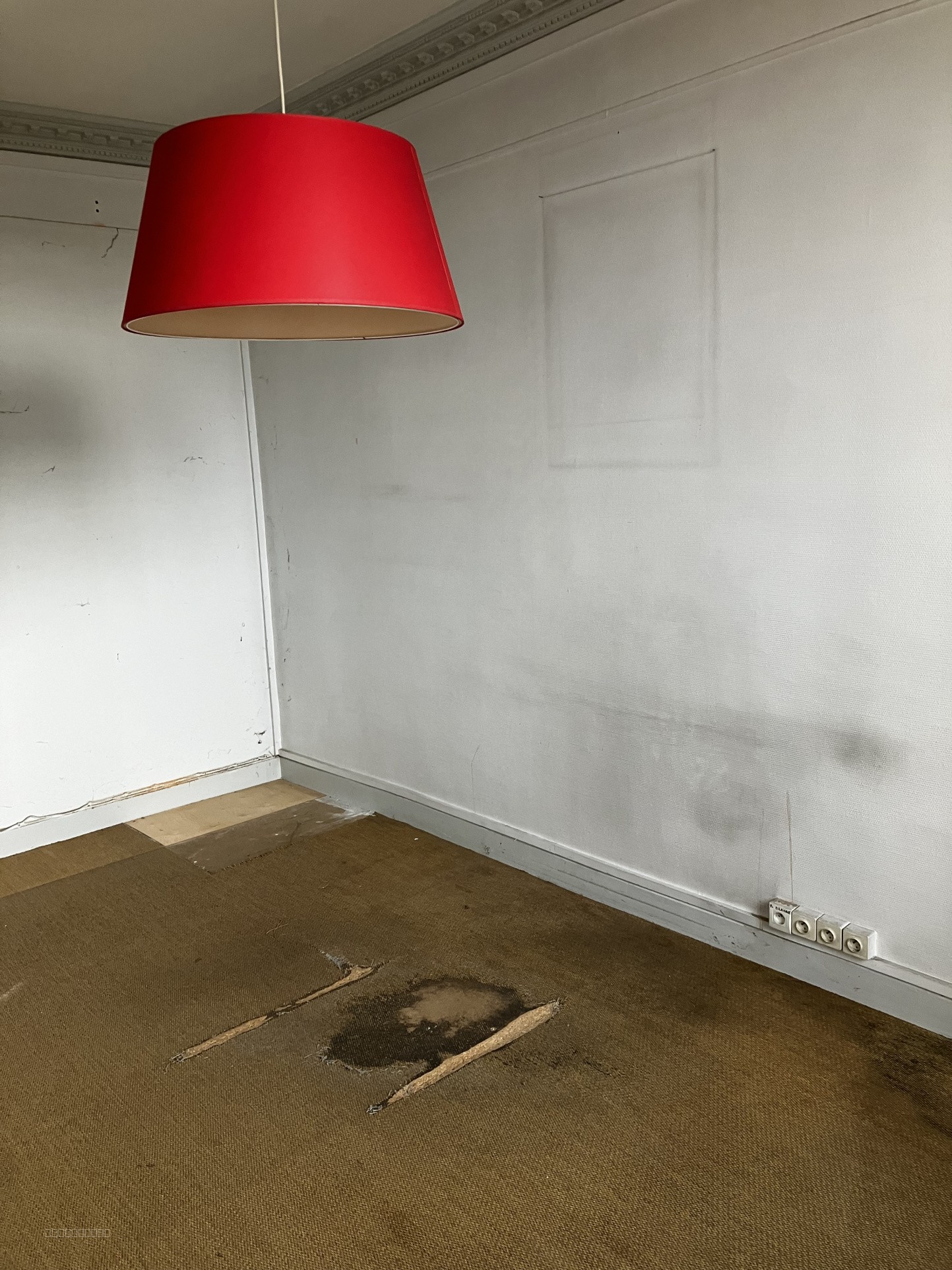LOCAL PROFESSIONNEL — photo 4