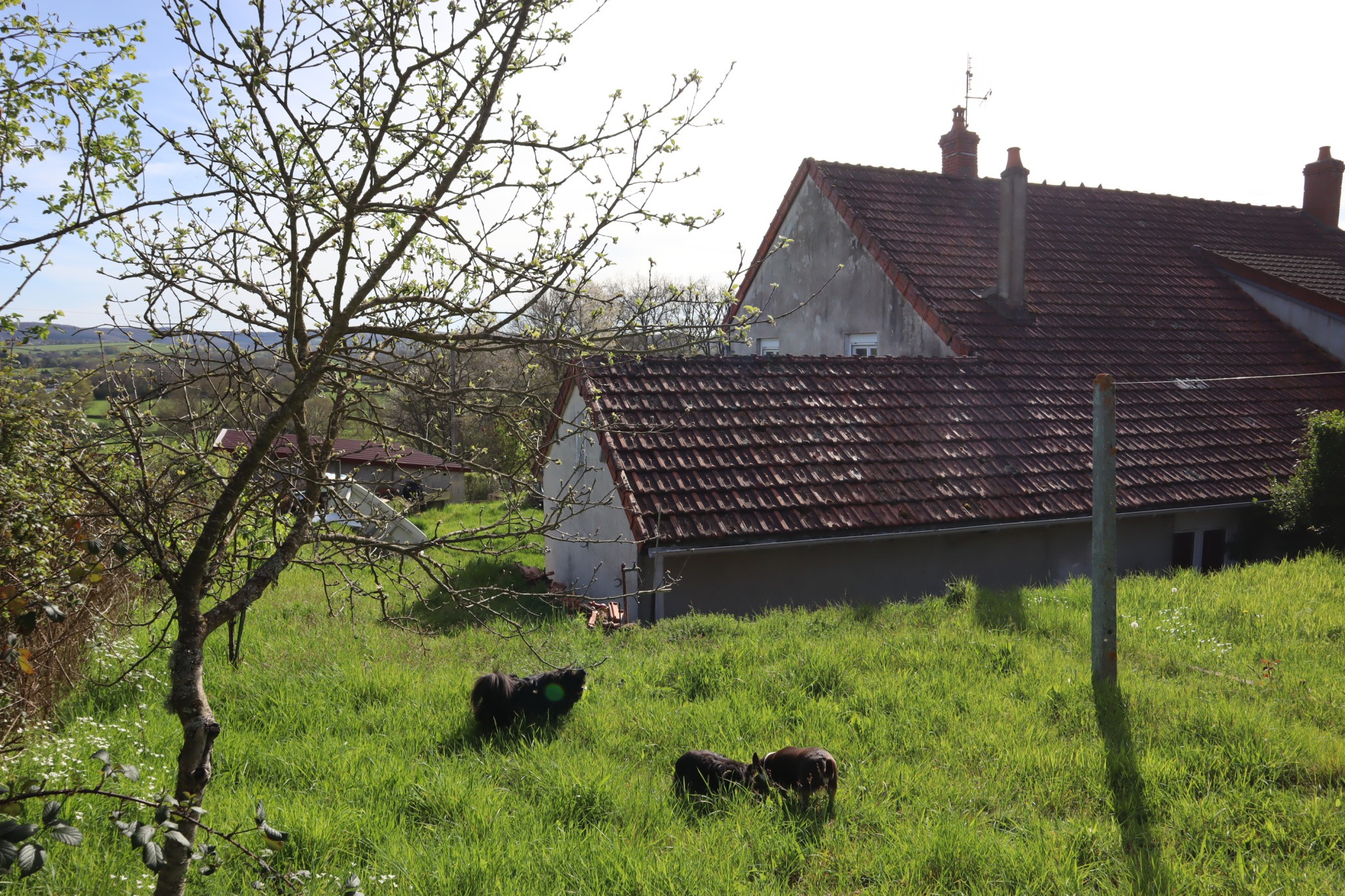 Maison de160 m2 avec quatre chambres — photo 19