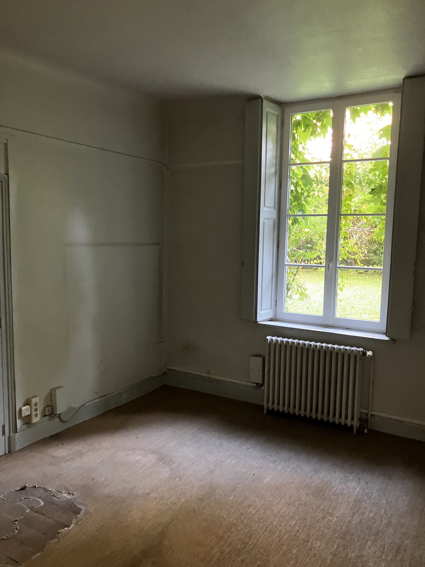 LOCAL PROFESSIONNEL — photo 7