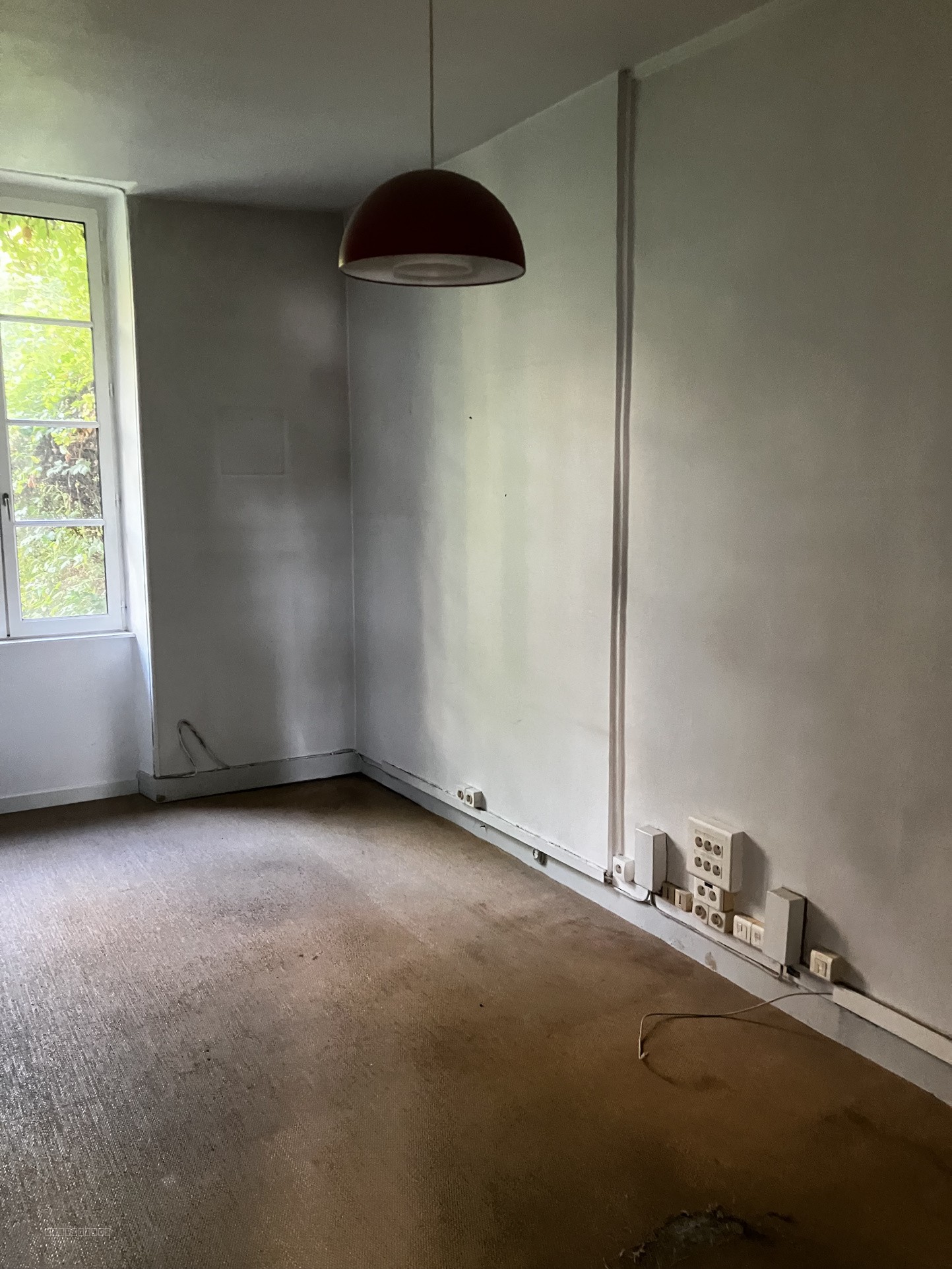 LOCAL PROFESSIONNEL — photo 6