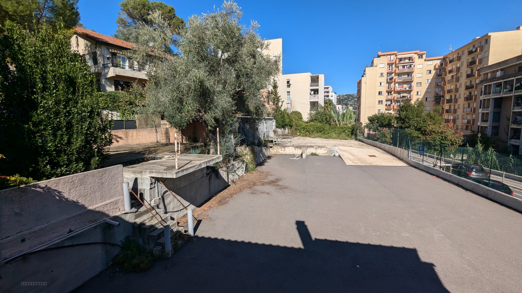 Local — photo 2