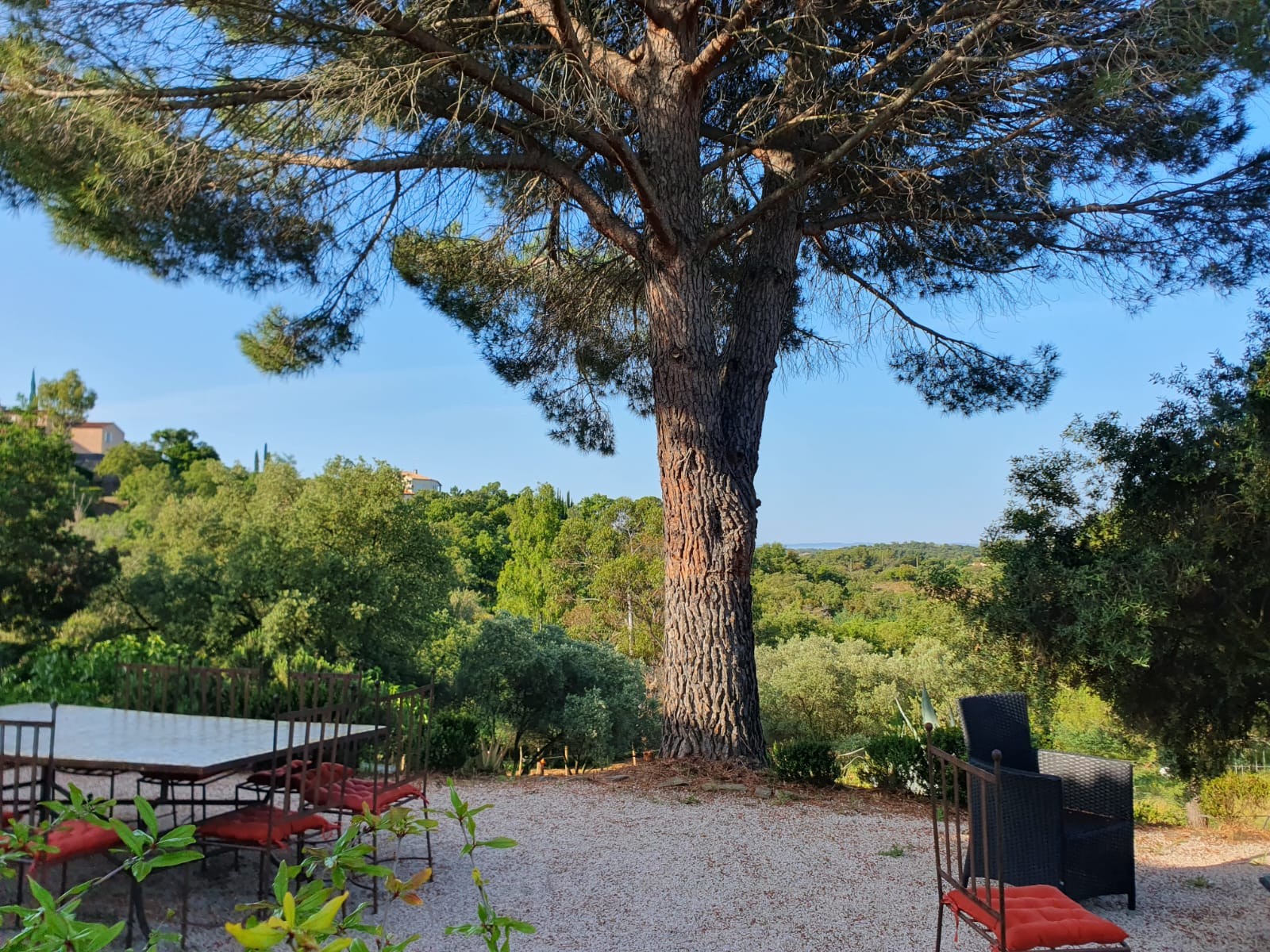 ✨ Bastide d’exception au cœur des collines de Valcros ✨ — photo 19
