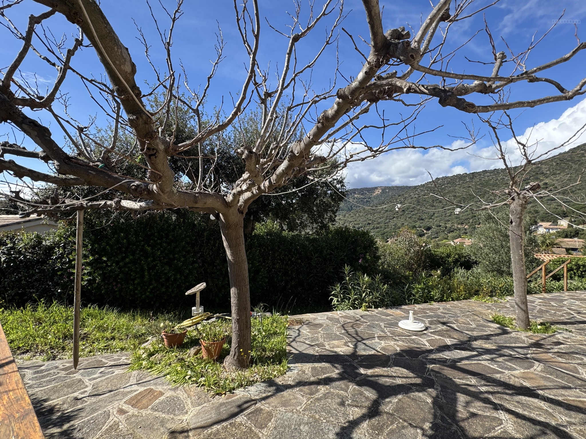 Terrain 246M2 dans un domaine privé et sécurisé — photo 3