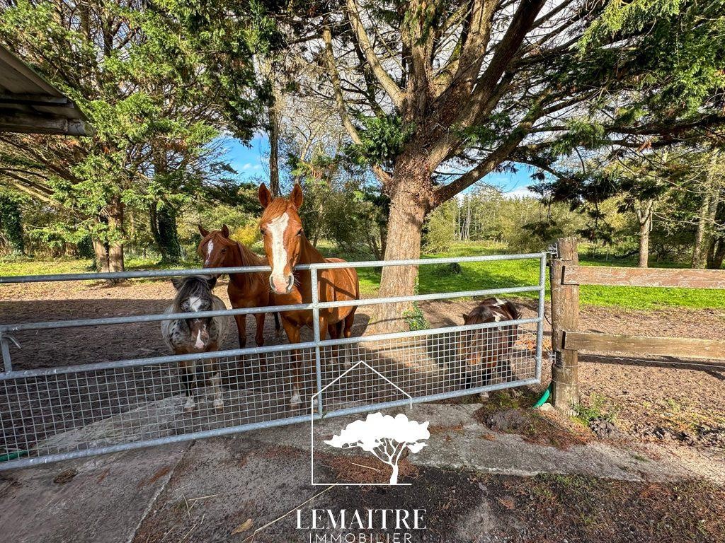 Propriété équestre à vendre Les Mathes . Maison 118 m2  13 000m2 de terrain — photo 12
