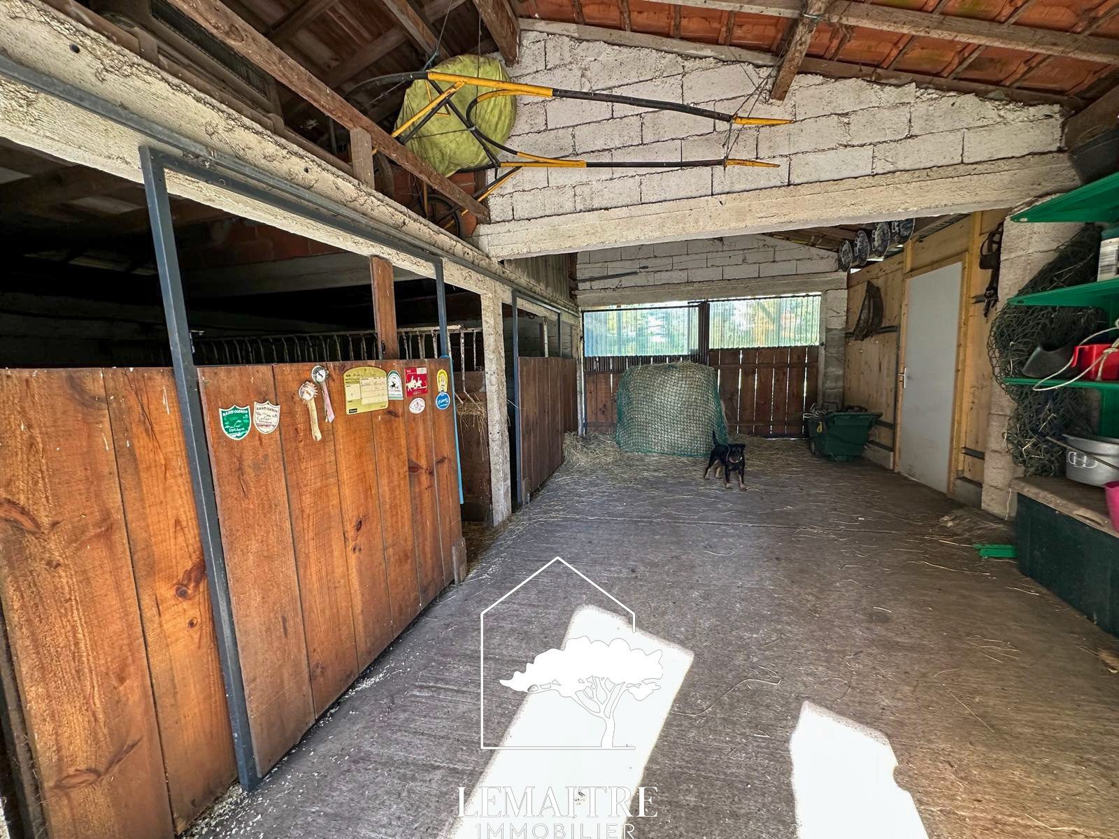 Propriété équestre à vendre Les Mathes . Maison 118 m2  13 000m2 de terrain — photo 5