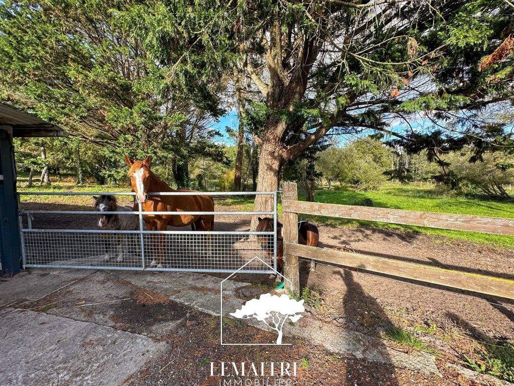 Propriété équestre à vendre Les Mathes . Maison 118 m2  13 000m2 de terrain — photo 3