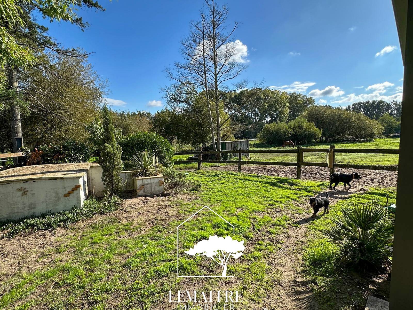 Propriété équestre à vendre Les Mathes . Maison 118 m2  13 000m2 de terrain — photo 20