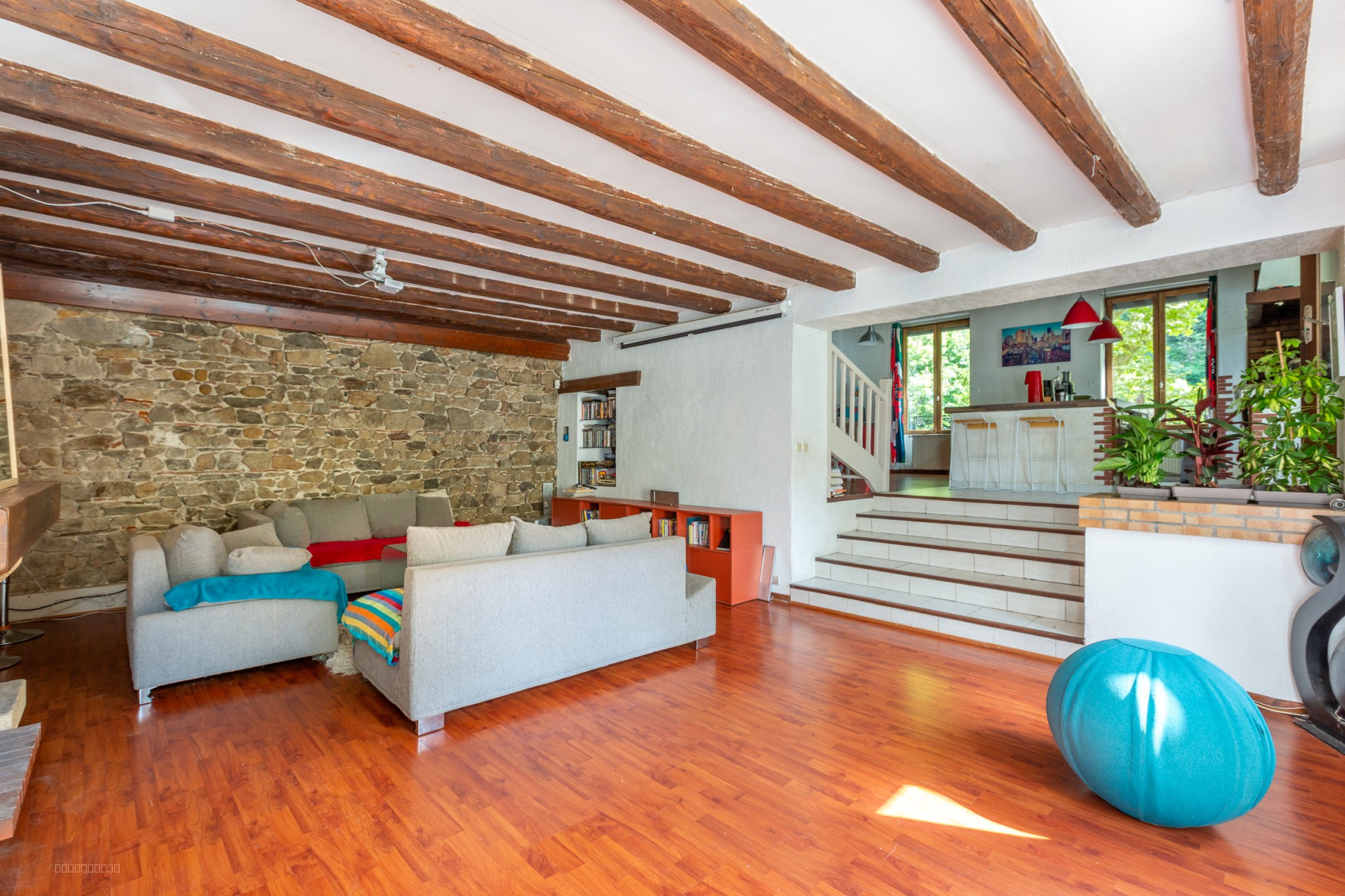 Maison de ville T7 de 245 m2 avec piscine et jardin - Vienne (38200) — photo 2